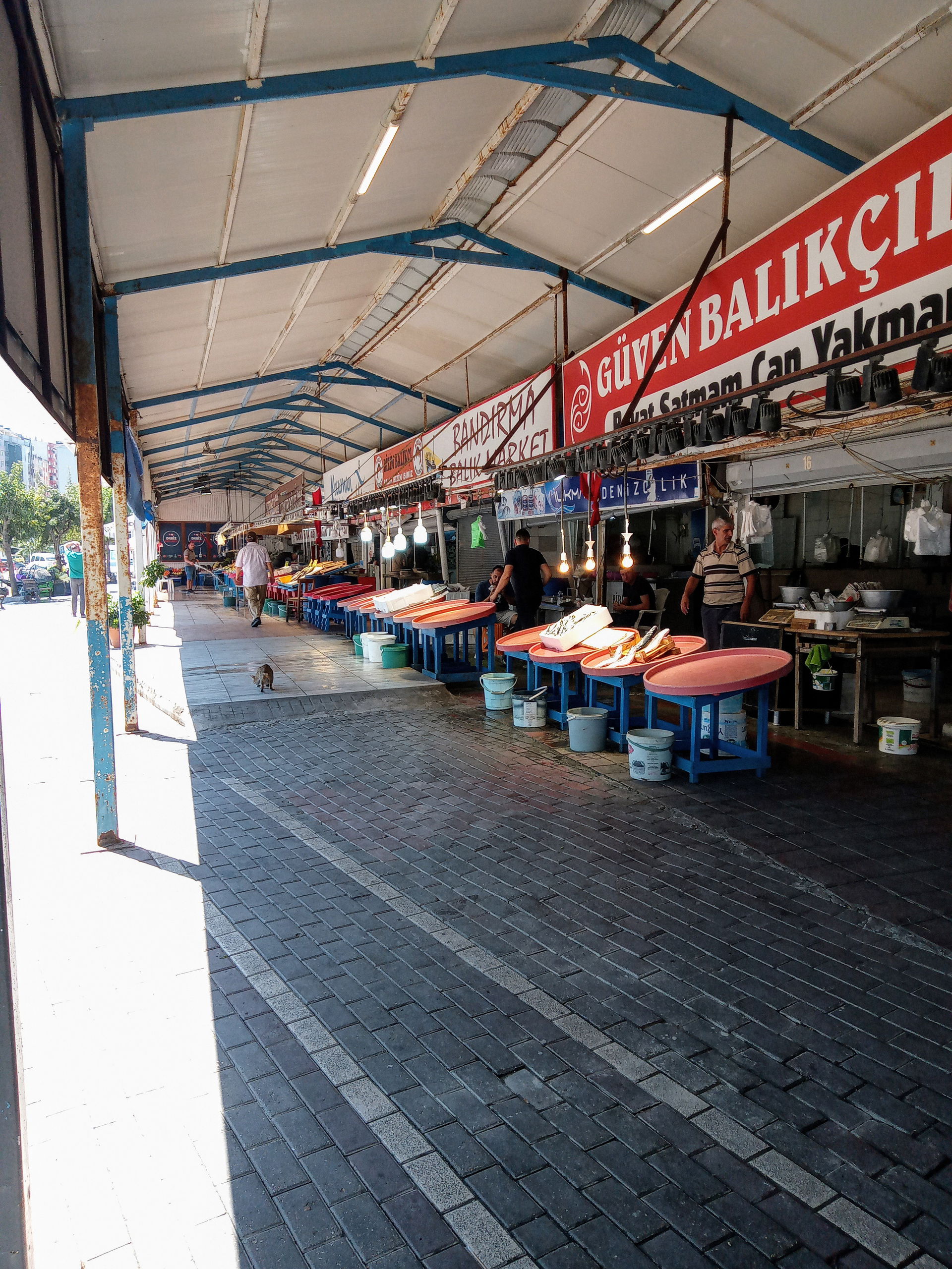 Bandırma balık hali