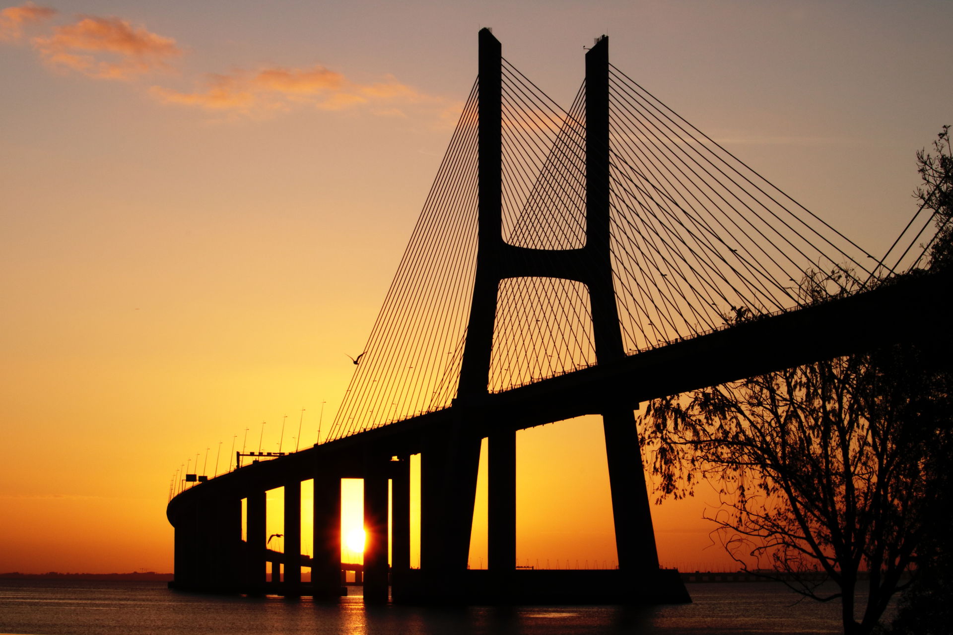 Ponte Vasco da Gama ao Nascer-do-Sol, vista do parque Tejo.