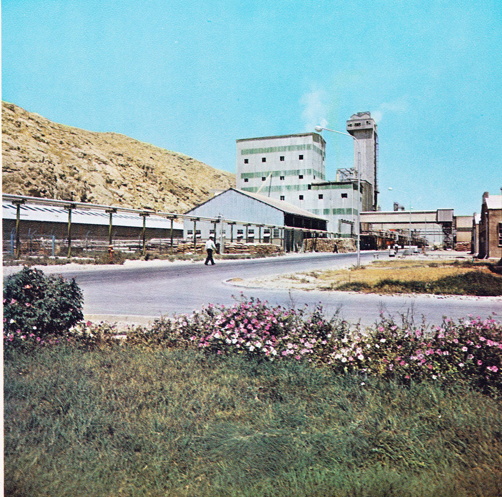 Shiraz fertilizing factory