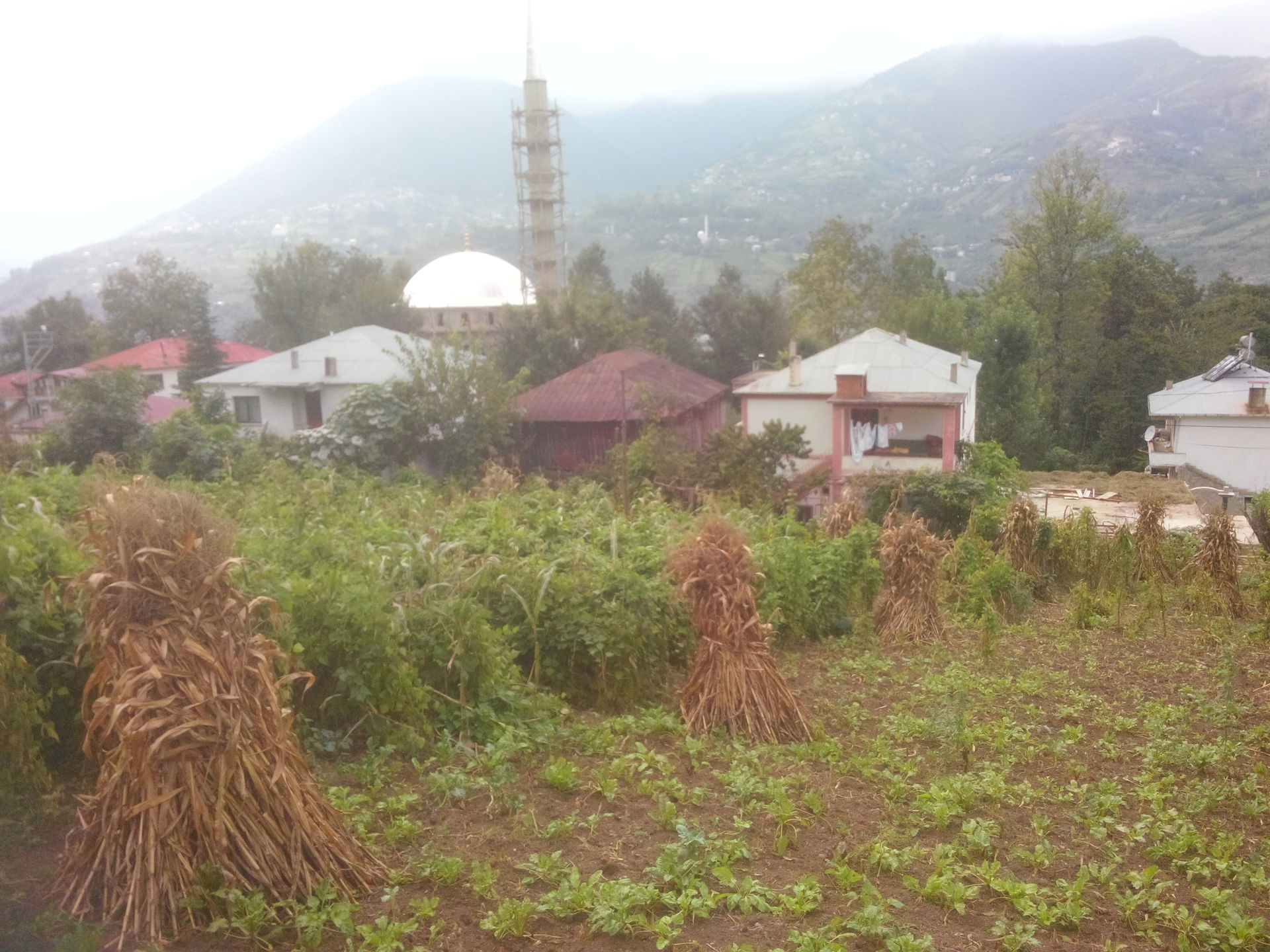 61300 Dörtyol/Akçaabat/Trabzon, Turkey
