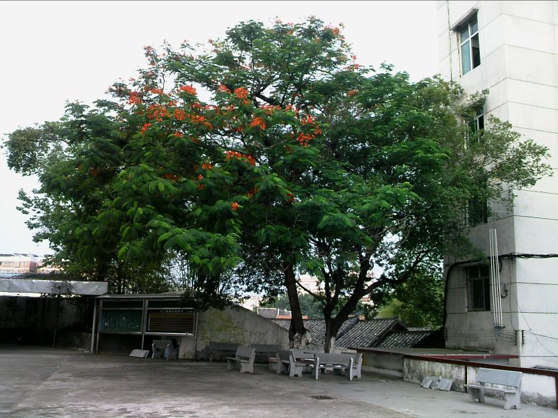 Shuizhai High School