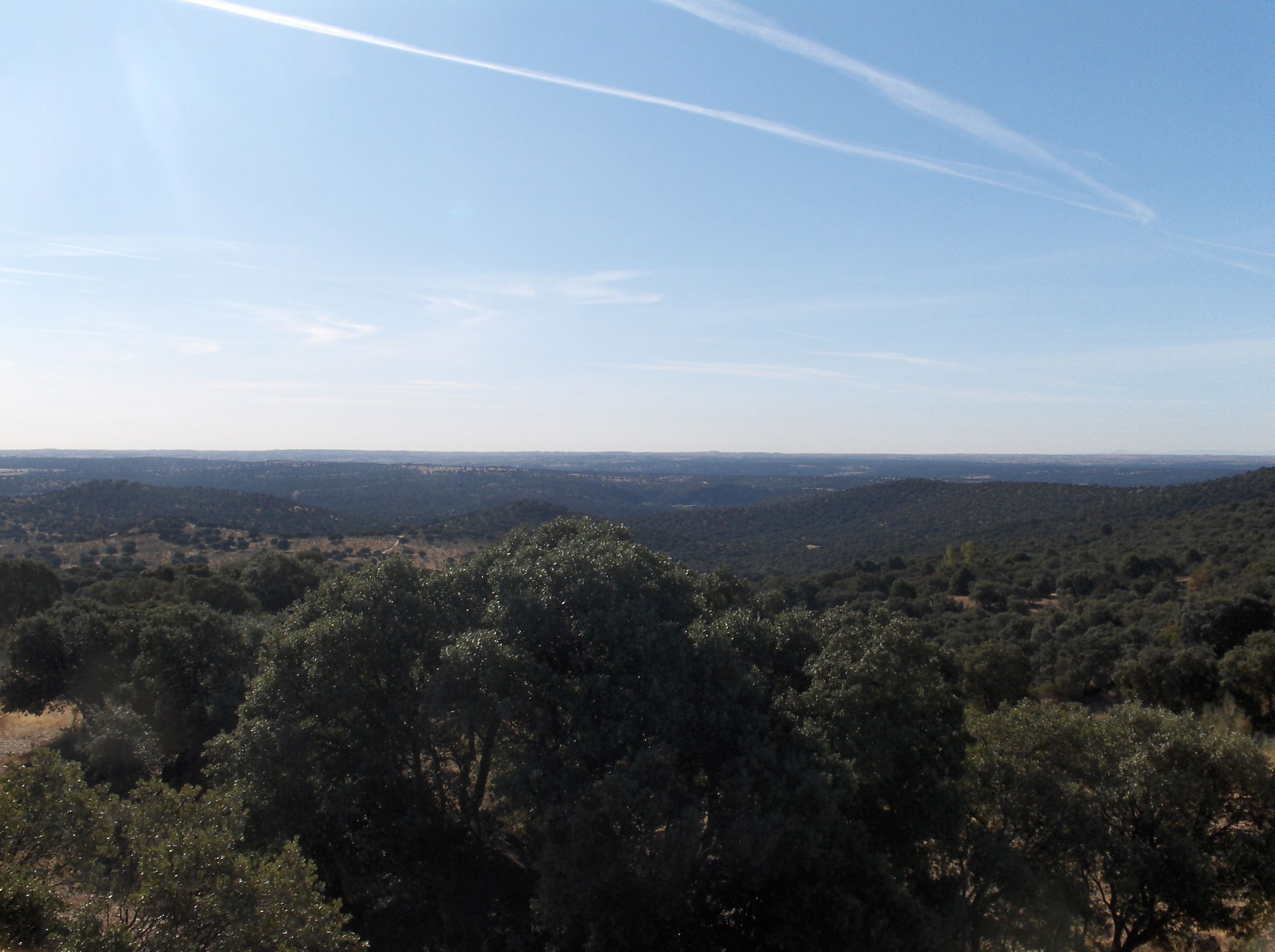 Views from Chapinería of south-west Madrid woods