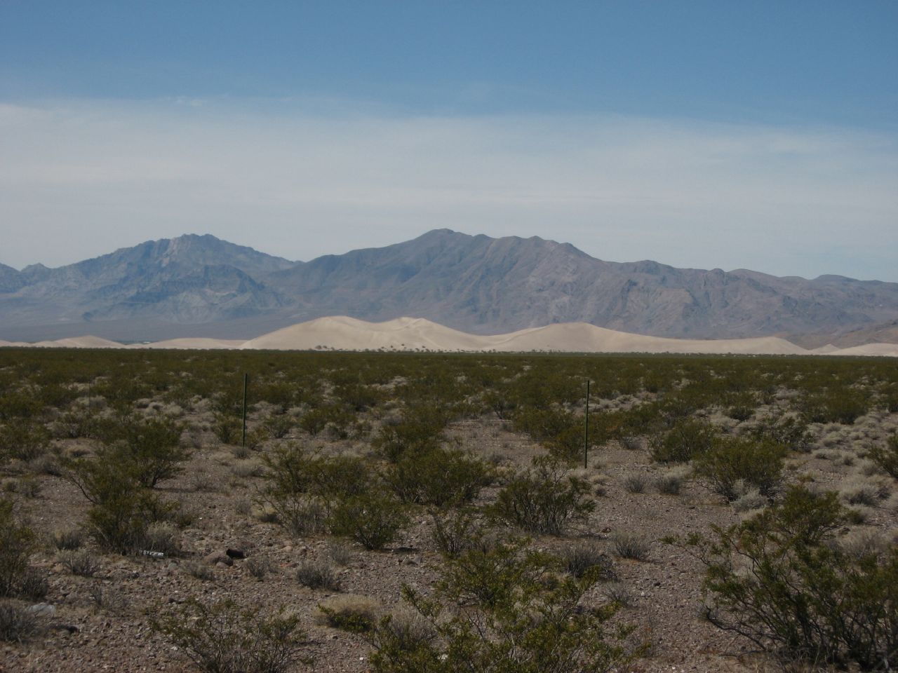 Big Dune, Amargosa Valley, Nevada