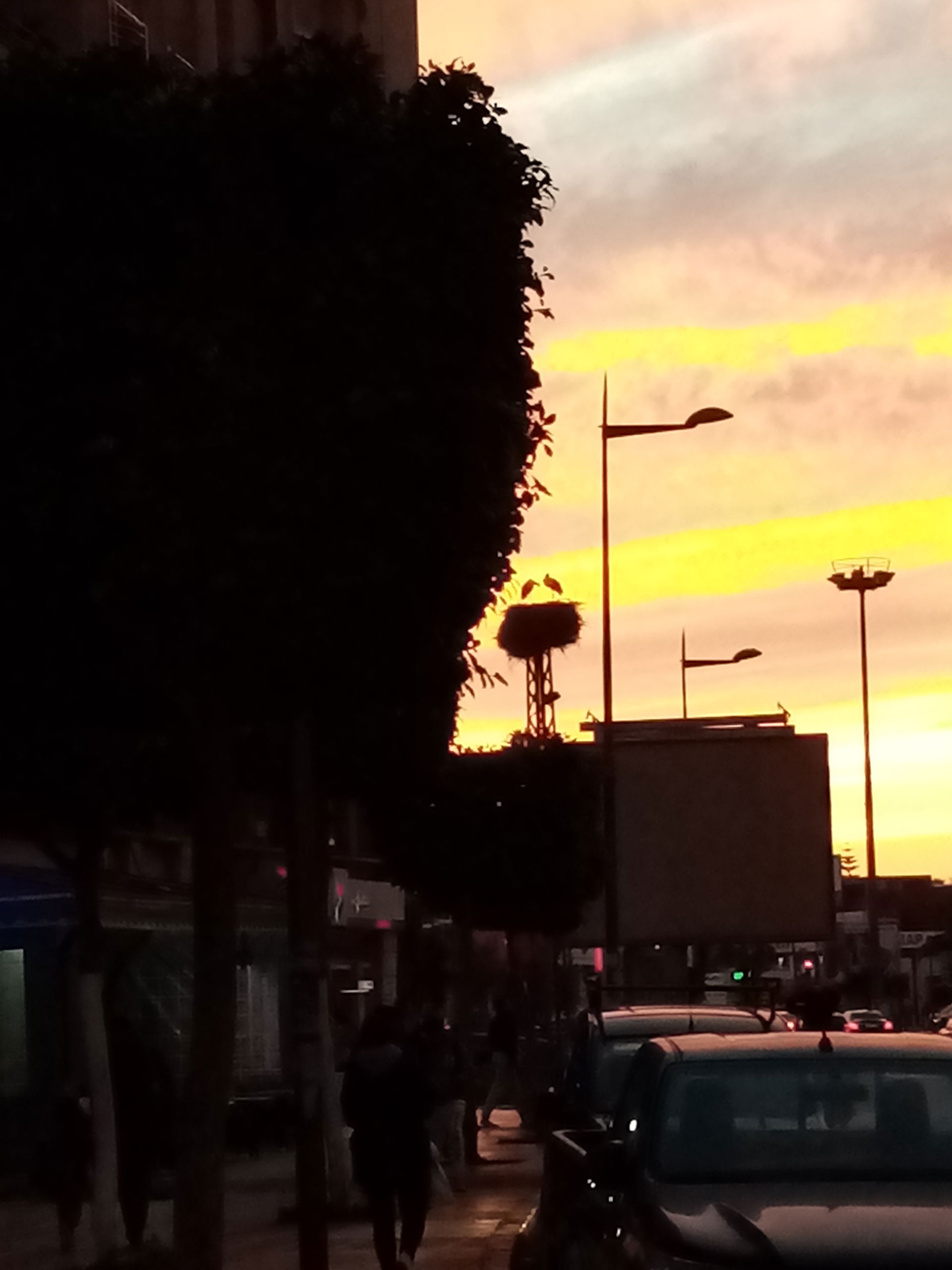 Rue de Kénitra au crépuscule avec des passants sur le trotoire,…