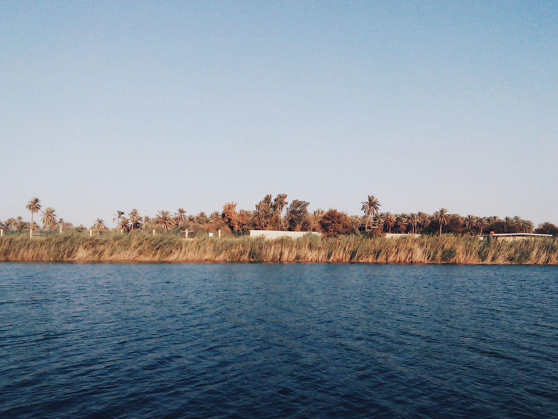 The Marshes it's one beautiful places in south of Iraq