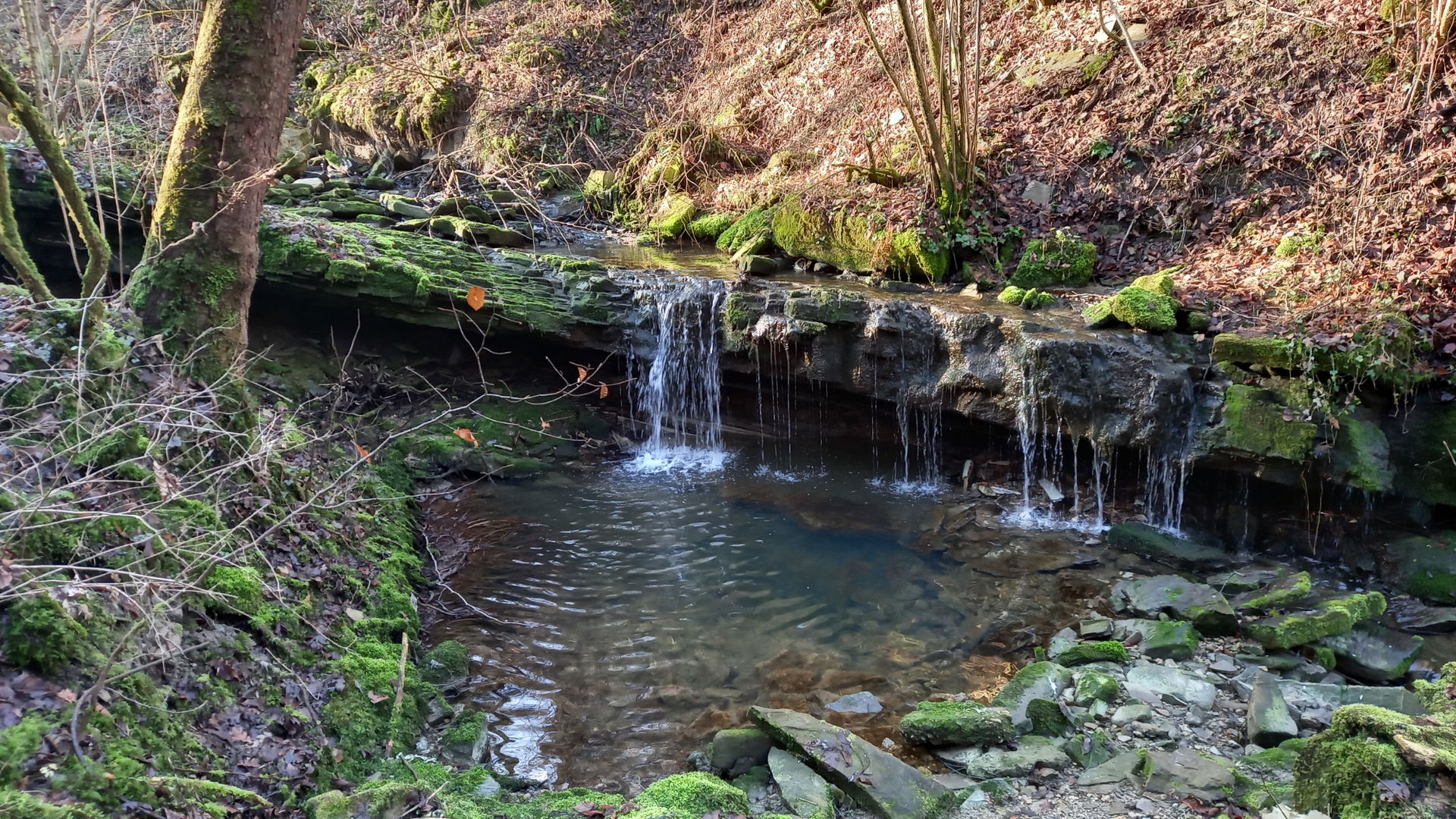 A little waterfall with a small pond on the Mussoi brook, at Be…