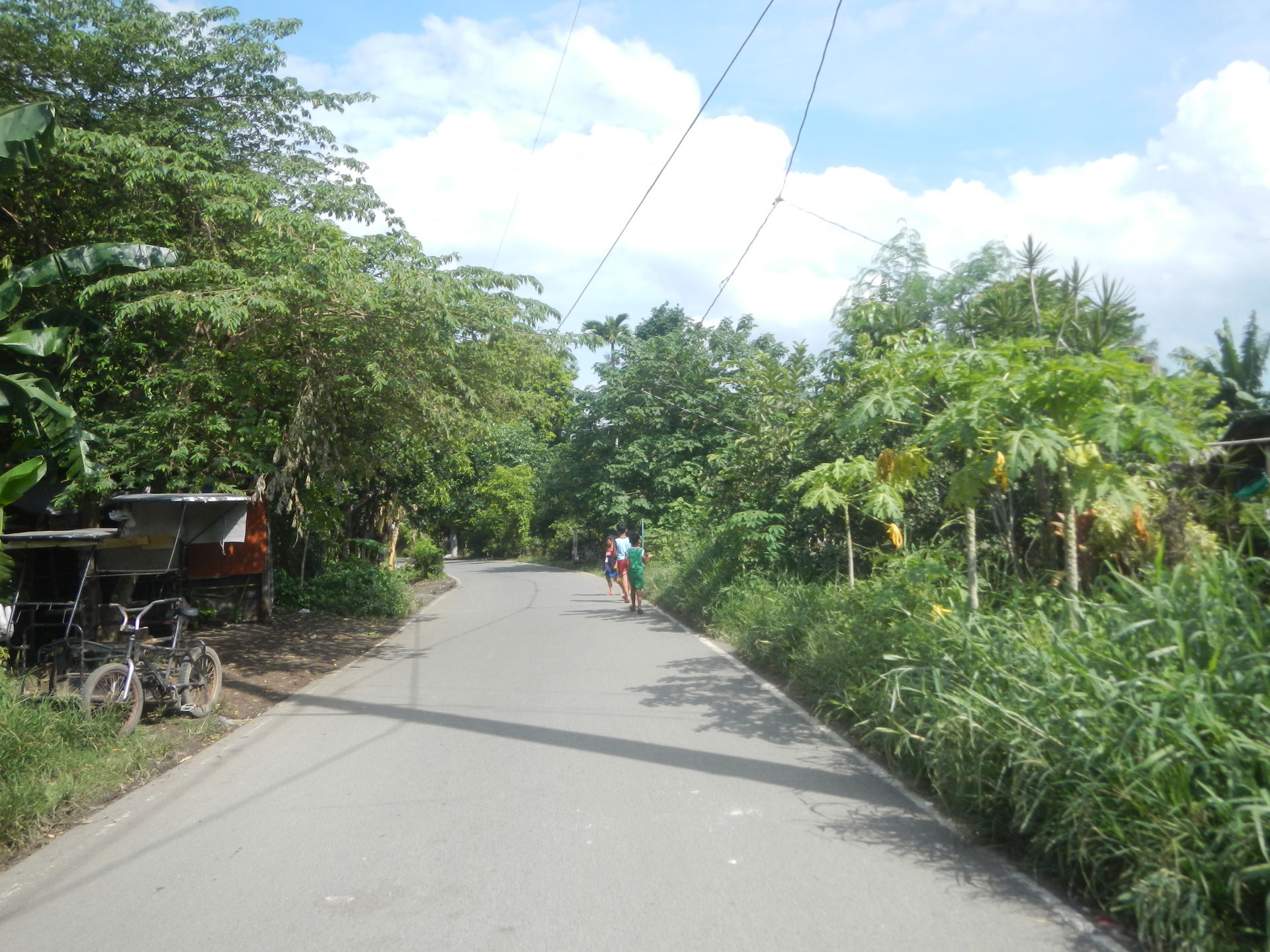 Barangays Pulong Dayap, Calauan, Laguna Latitude: 14°11'16.72" …