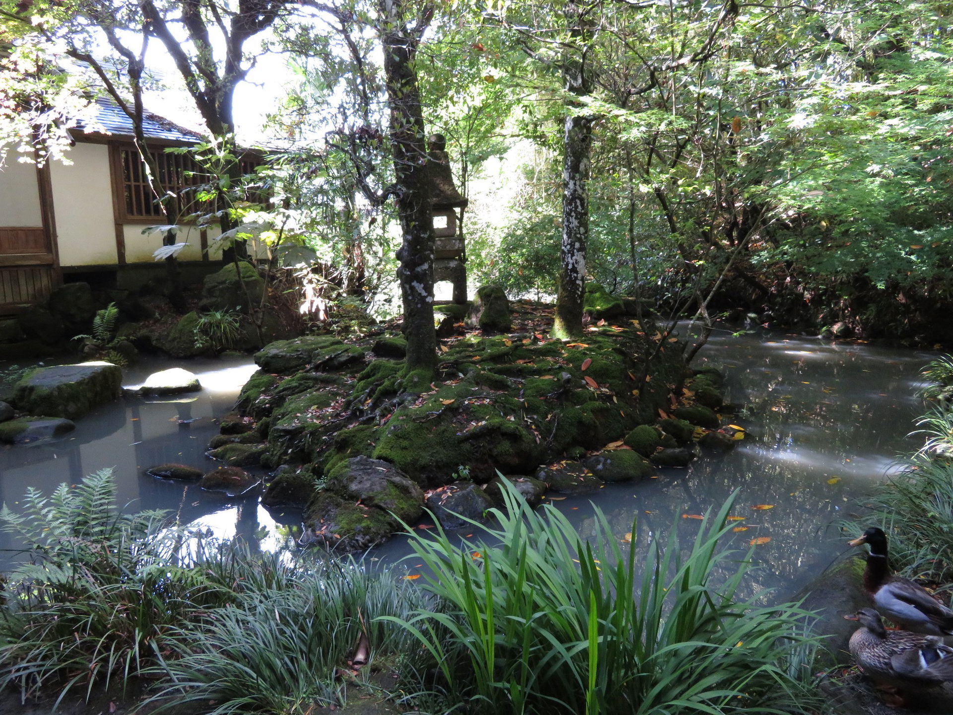 Kamosō in Kakegawa, Shizuoka Prefecture, Japan
