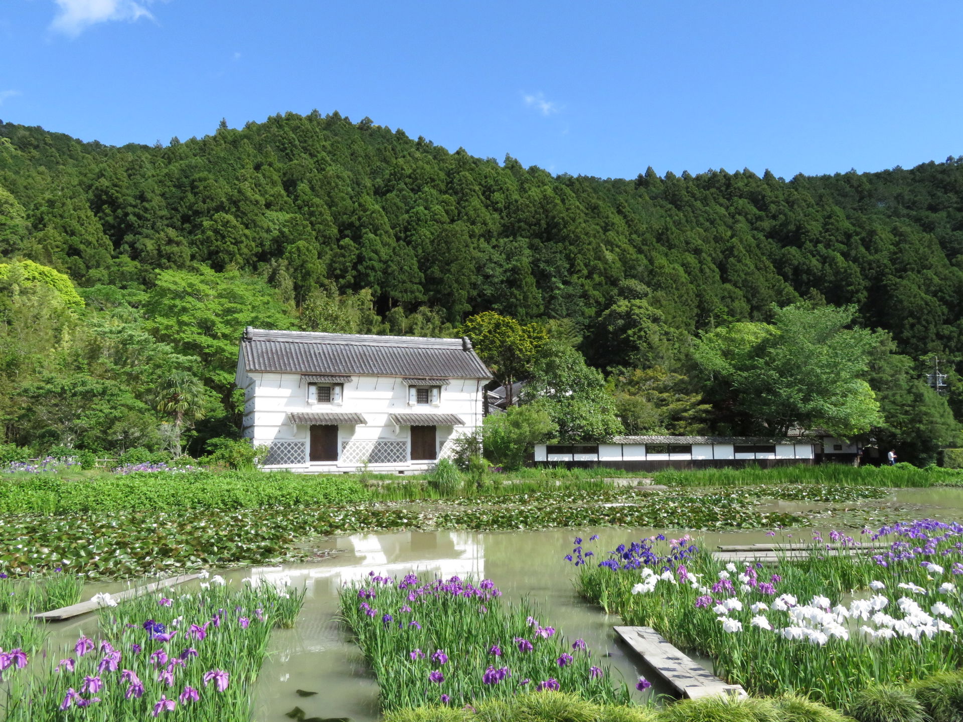 Kamosō in Kakegawa, Shizuoka Prefecture, Japan