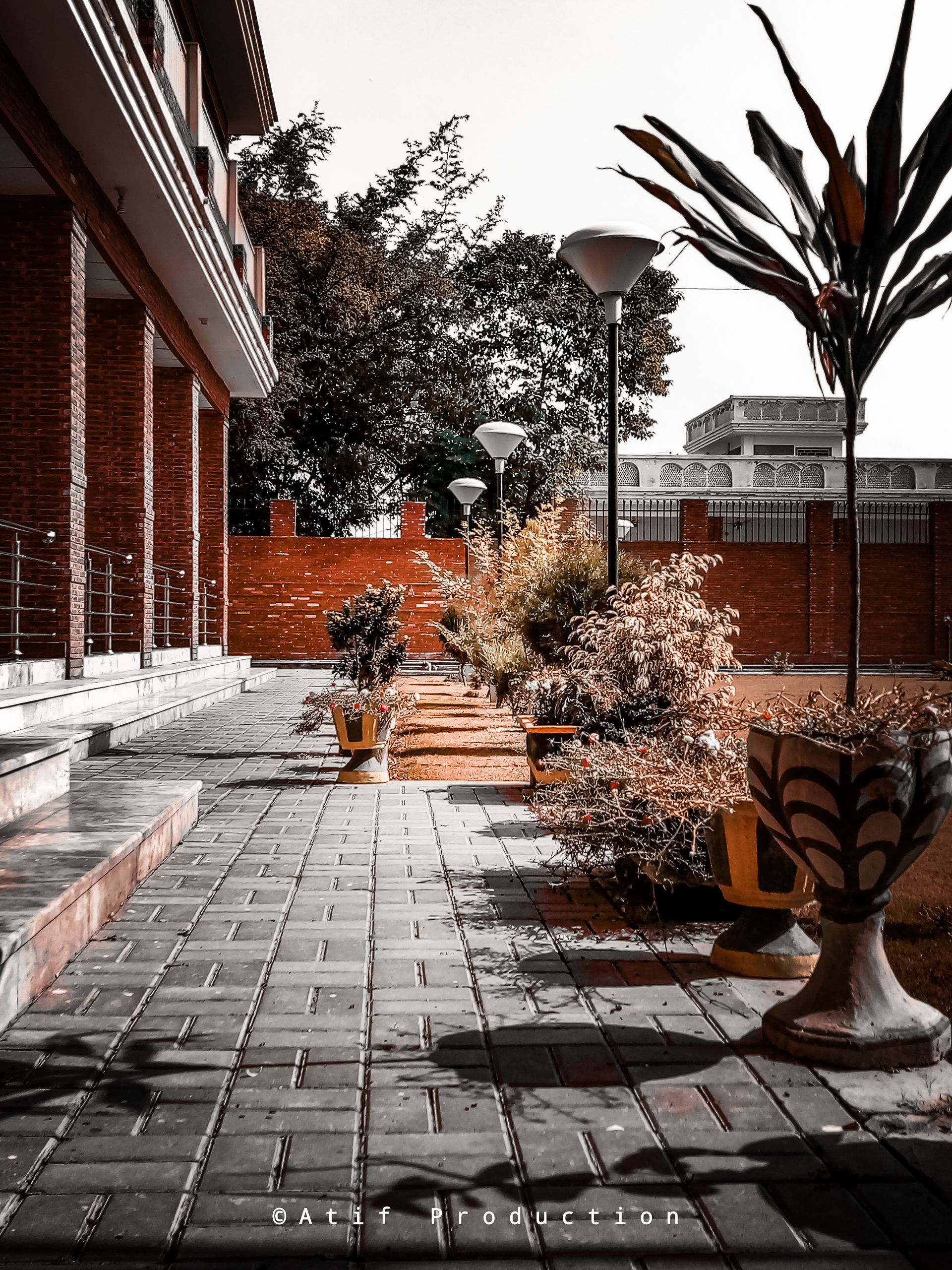 The first ever government public library opened in Charsadda ne…
