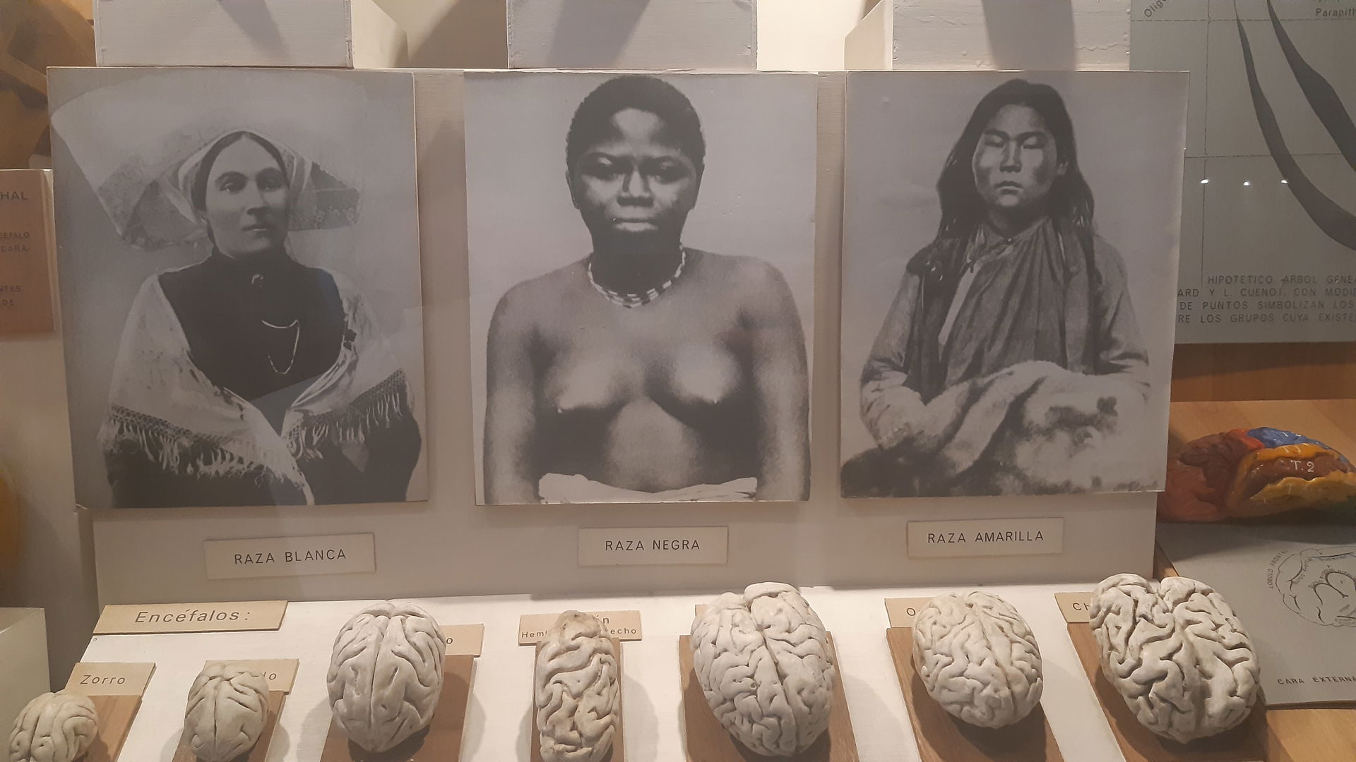Archaeology Museum, Sogamoso, Boyacá, Colombia. Museo Arqueológ…