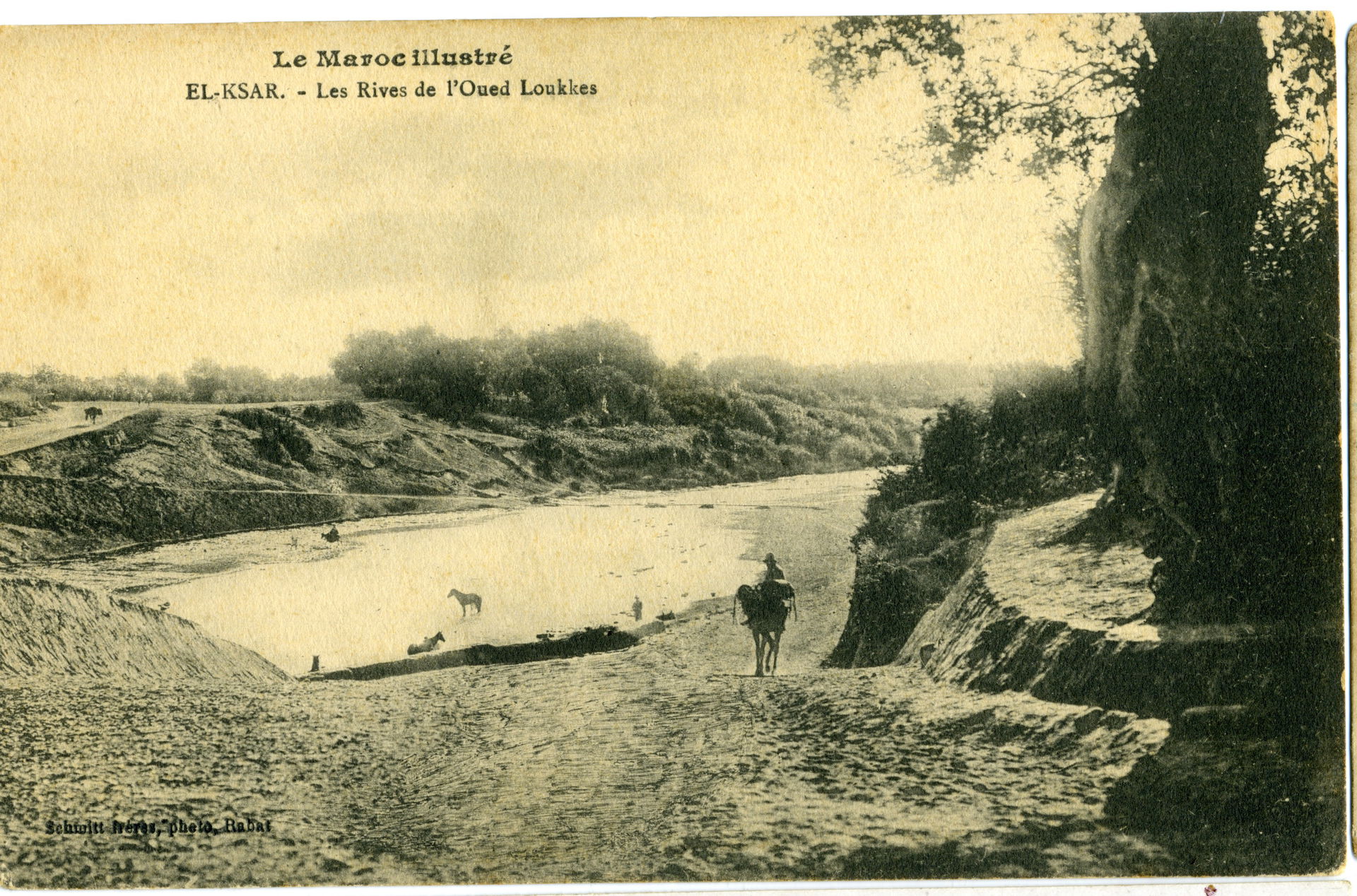 Carte postale de Ksar El-Kébir, les rives de l'oued Loukkos, Ma…