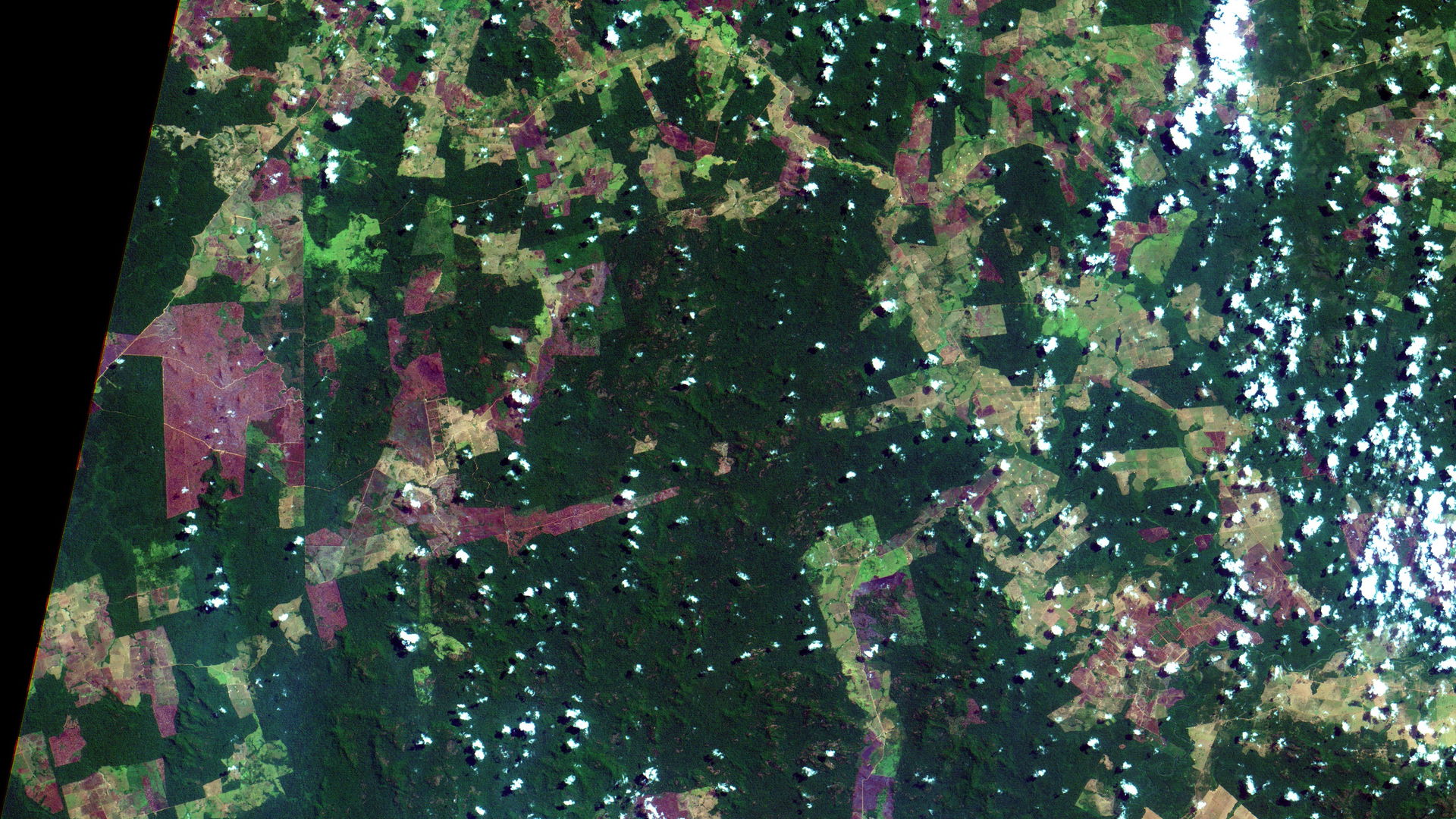 Cicatriz de queimada recente na Área de Proteção Ambiental Triu…