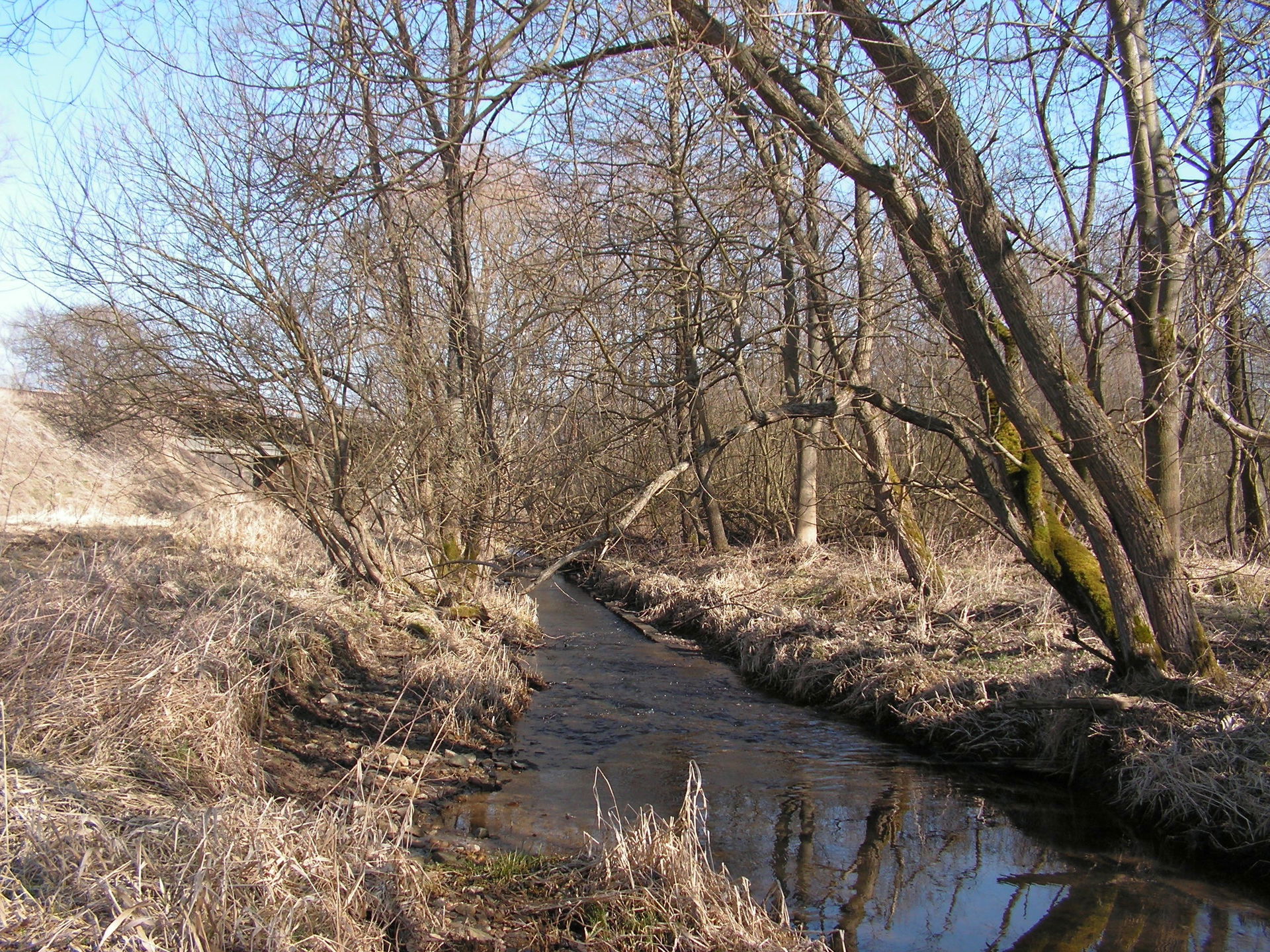 Slubice nedaleko ústí do Chrudimky v okrese Chrudim
