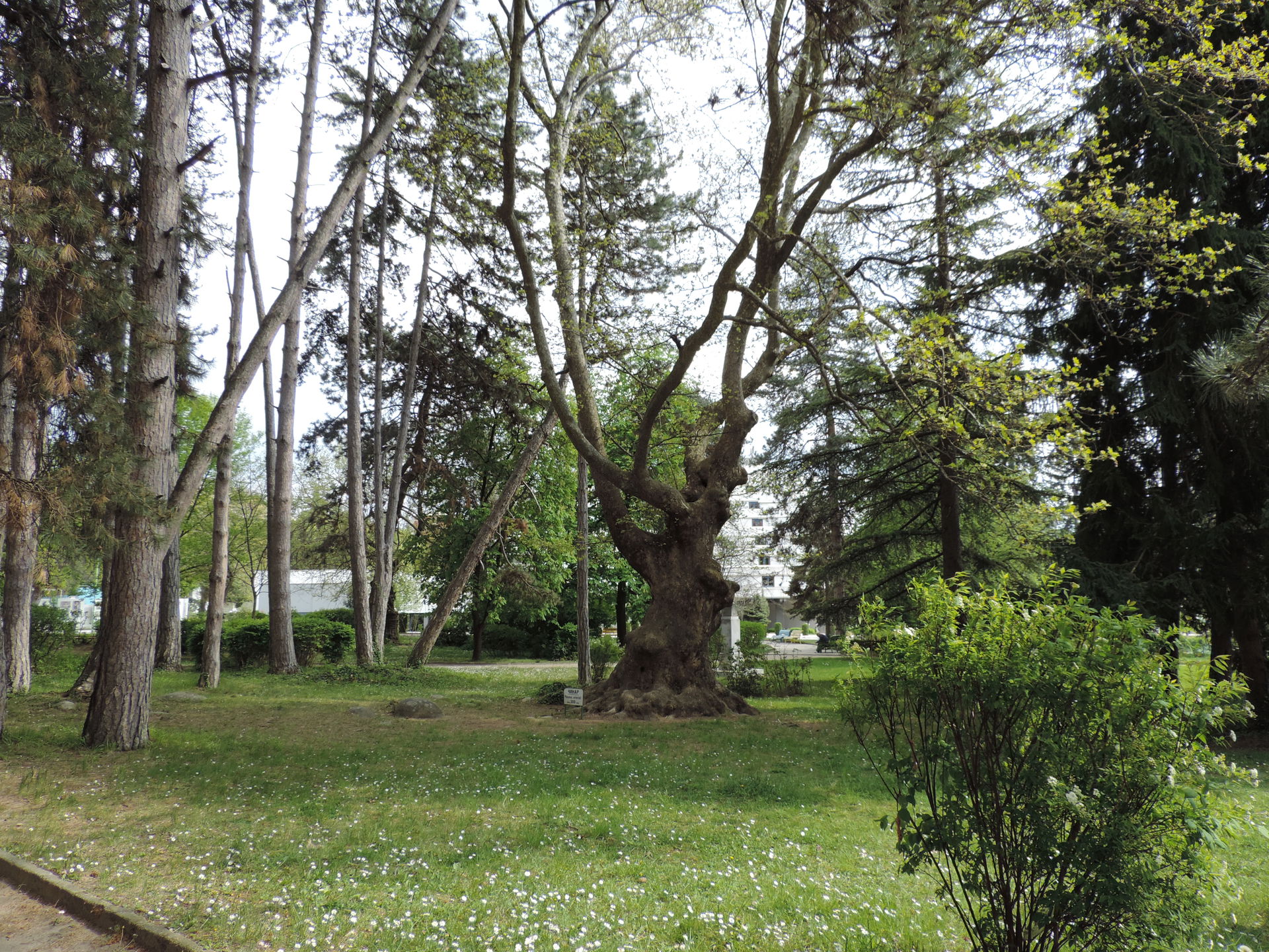 St. Vrach park, Sandanski, Bulgaria