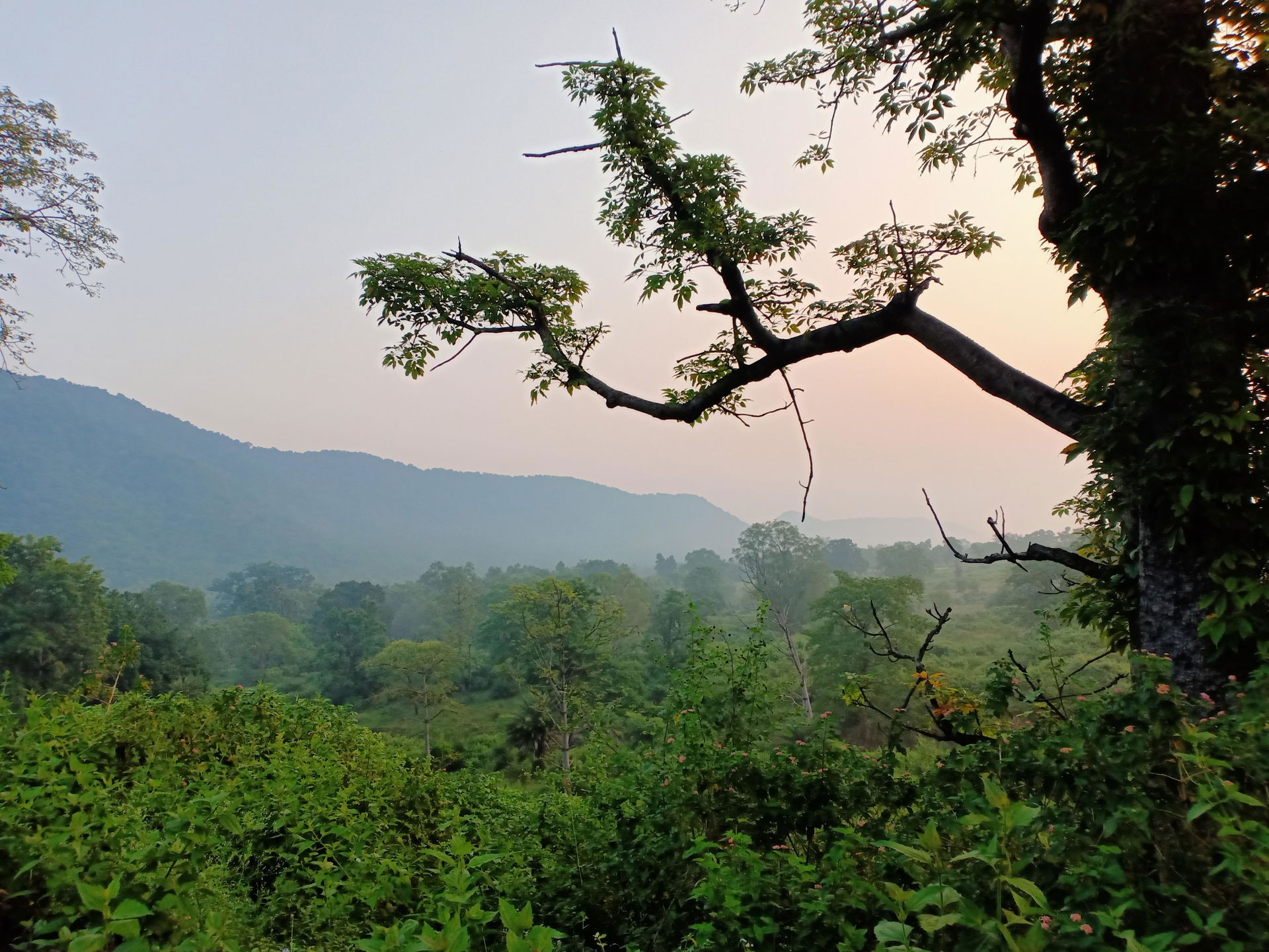 This place is situated a little away from Rourkela,