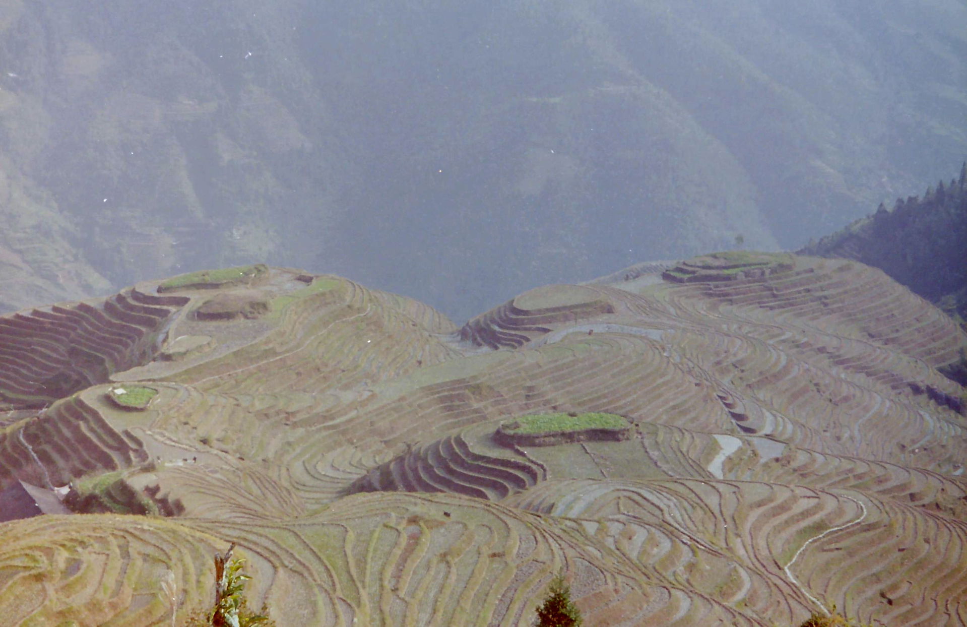 Ping'an and the Longsheng Rice Terraces, Guangxi, China.