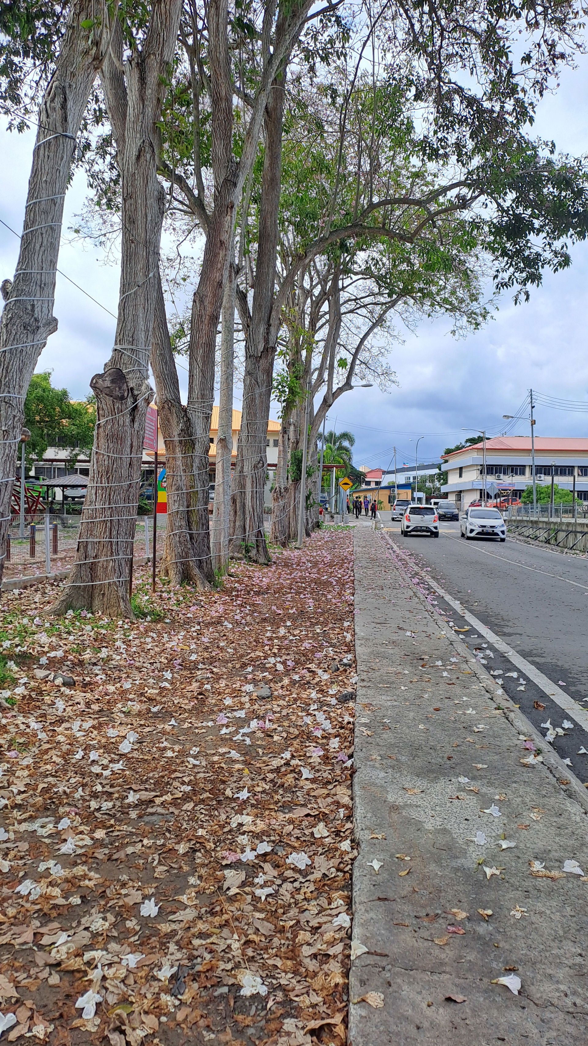 View at Tuaran Sabah