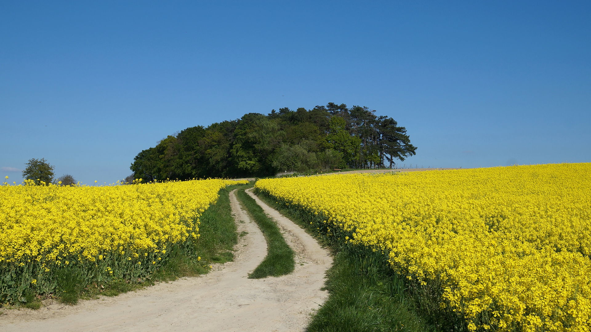 Hermannsberg Angelbachtal Eichterheim mit Herrlicher Sicht auf …
