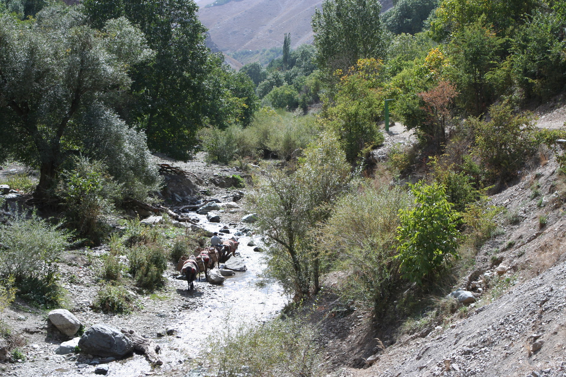 Ahar, near Tehran