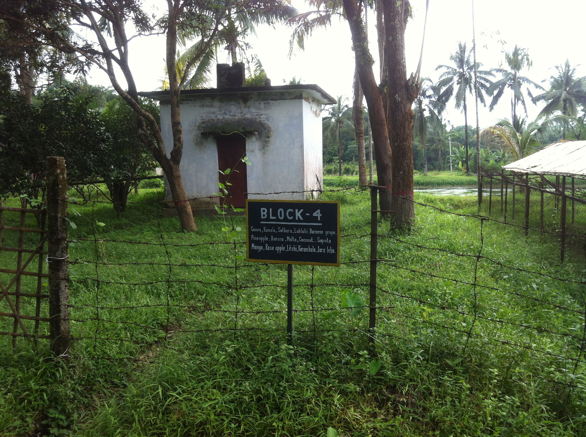 BLOCK-4 at Citrus Research Institute, Jaintiapur, Sylhet