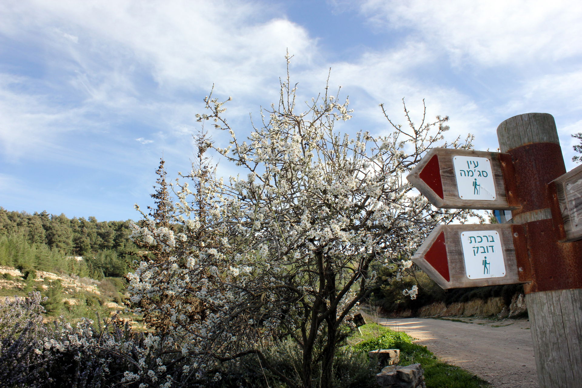 Gush Etzion, occupied Palestinian territories
Gush Etzion