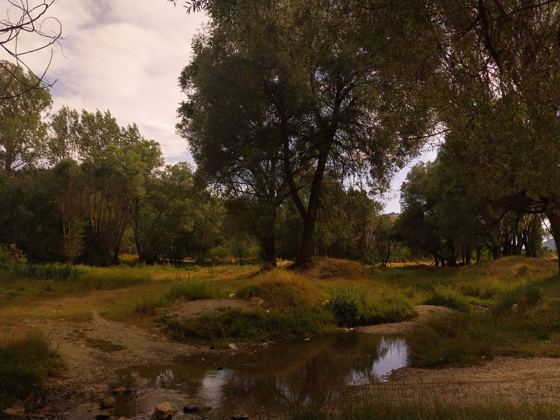 Picture of a roadside recreation place at Cankurtaran, Akşehir …