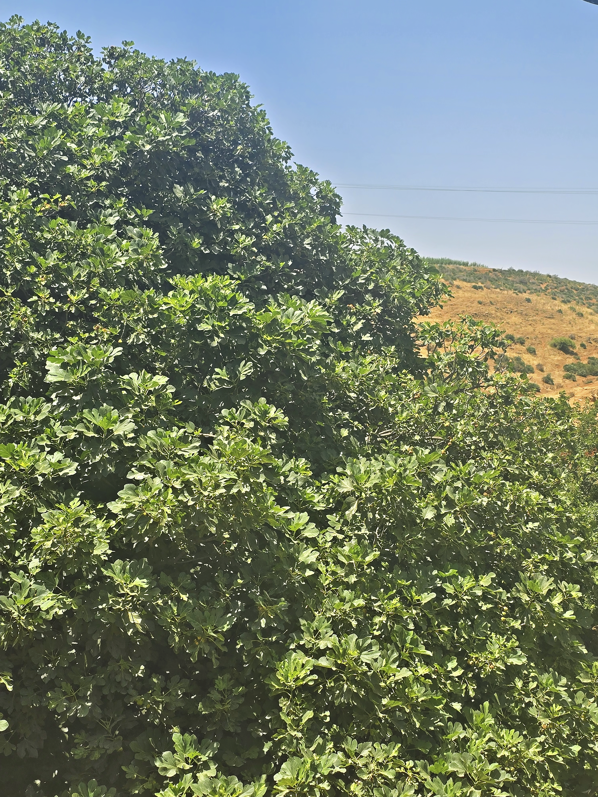 Village landscape of Sidi Slimane Moul Kifane