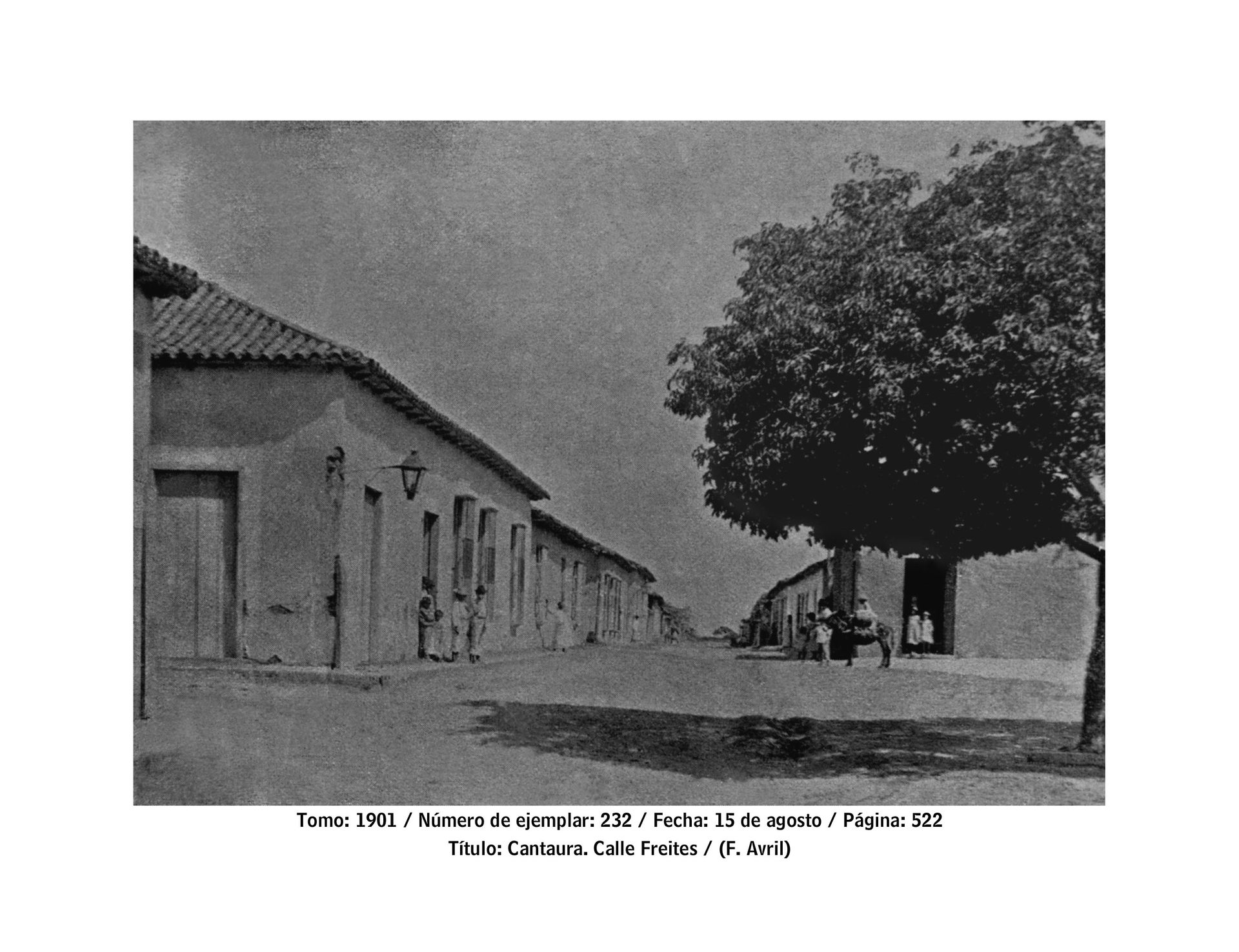 Calle Freites de Cantaura.