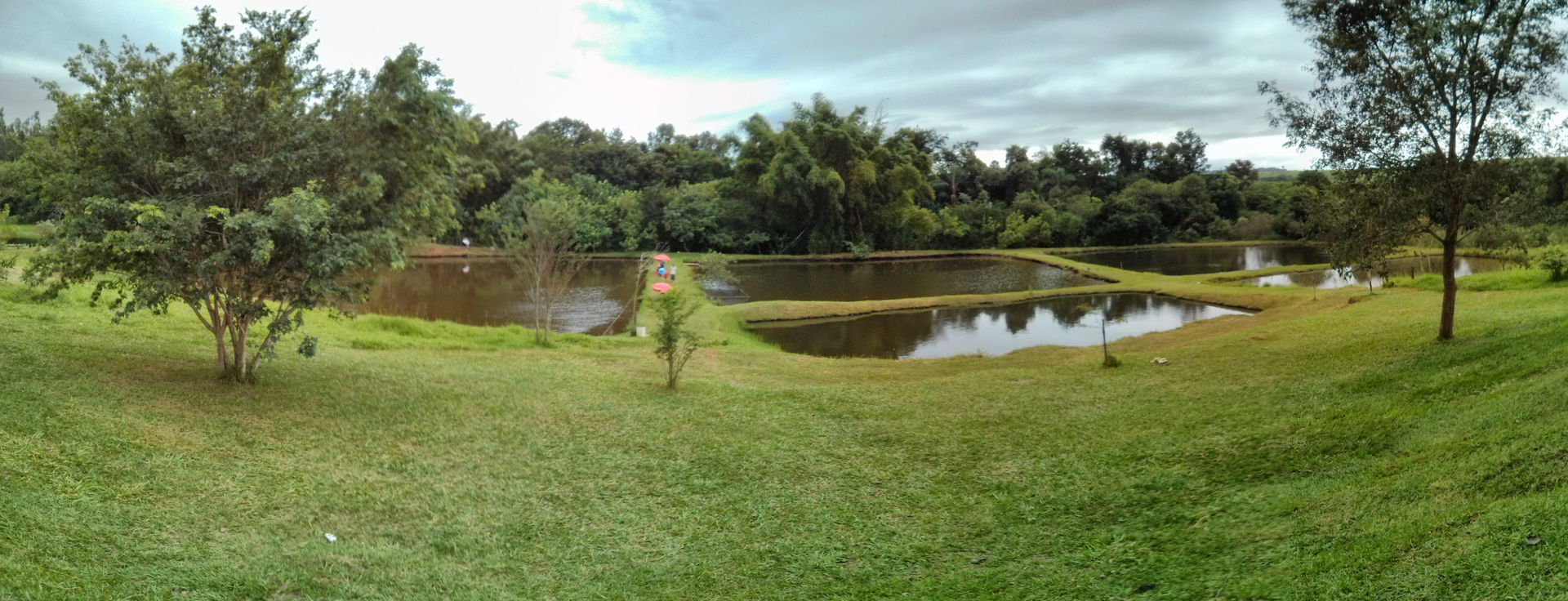 Paranavaí - State of Paraná, Brazil
