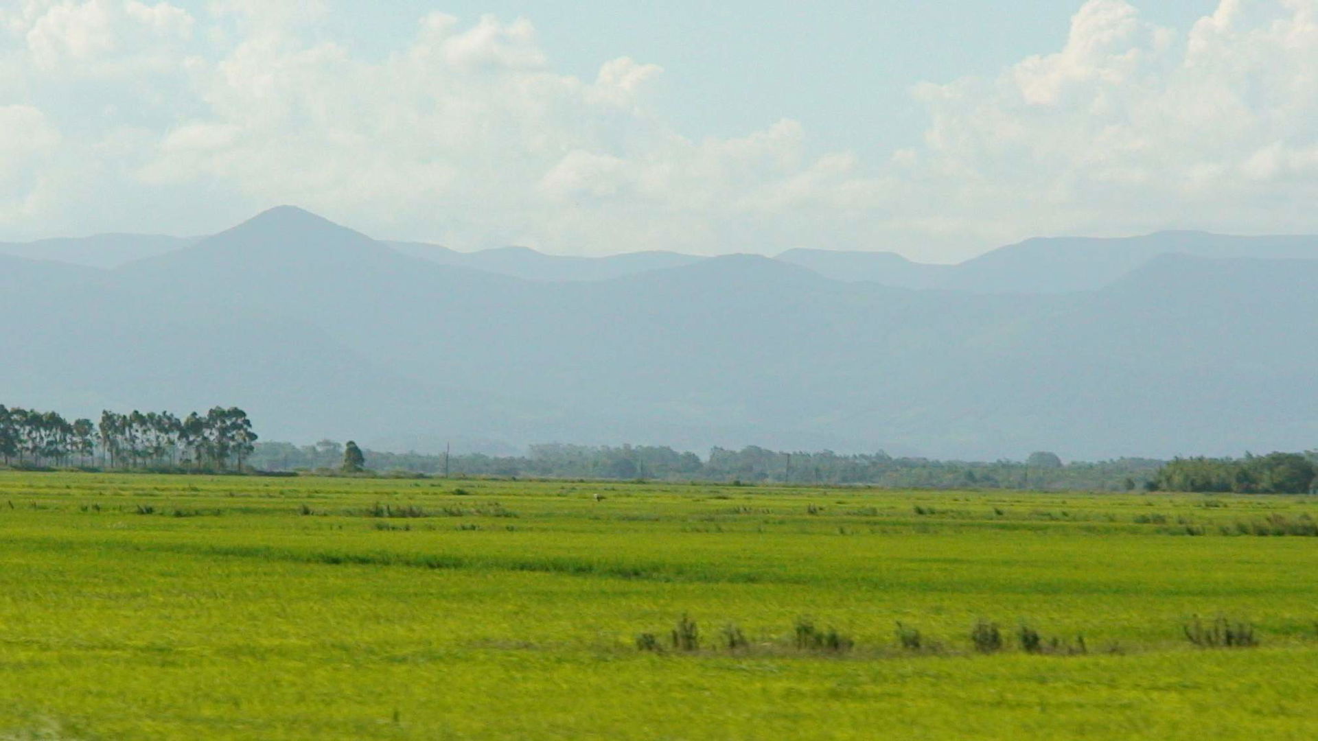 Pampa grasslands in Serra Geral, Rio Grande do Sul, Brazil.