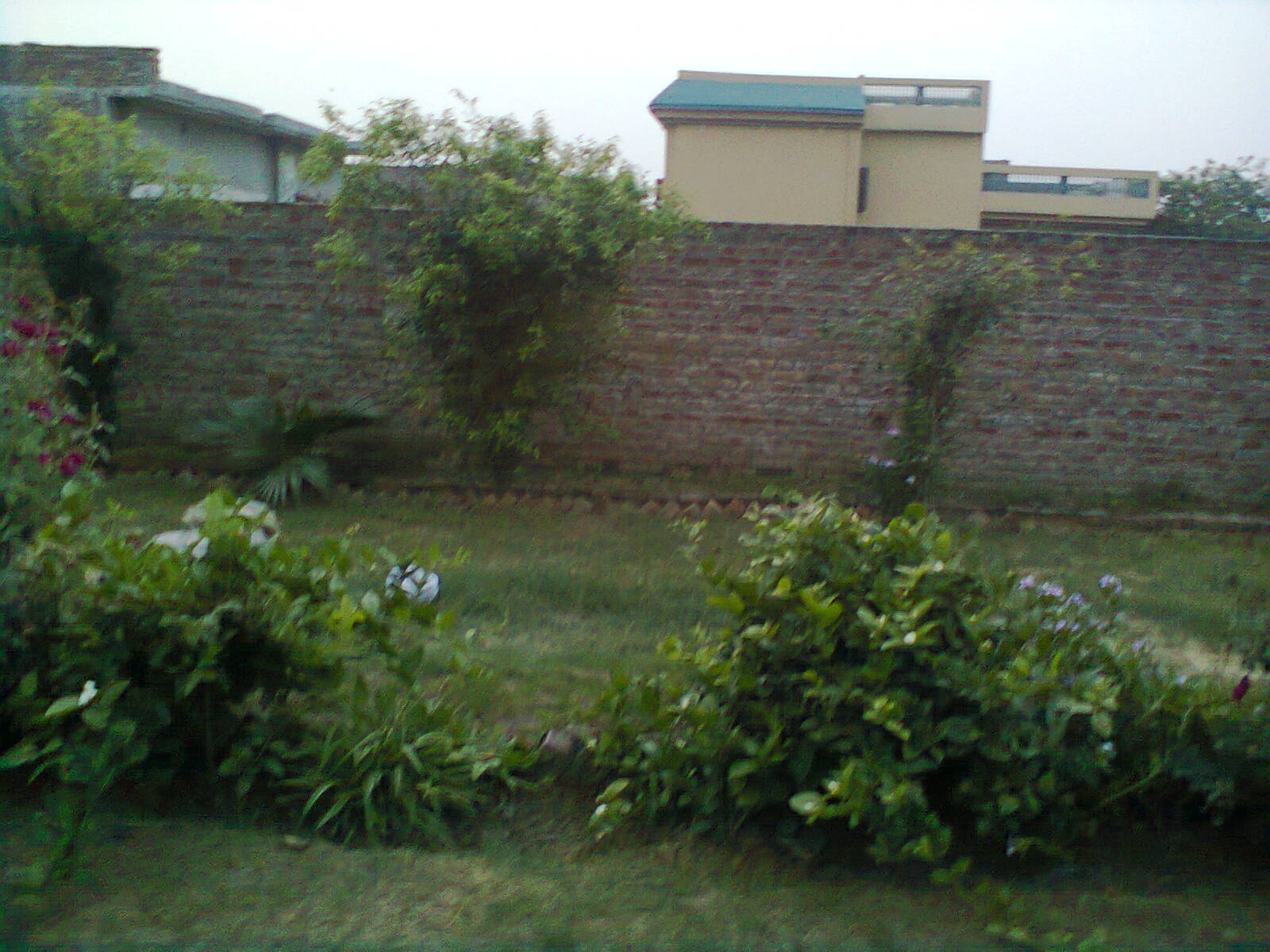 Shakar Garh, Pakistan
