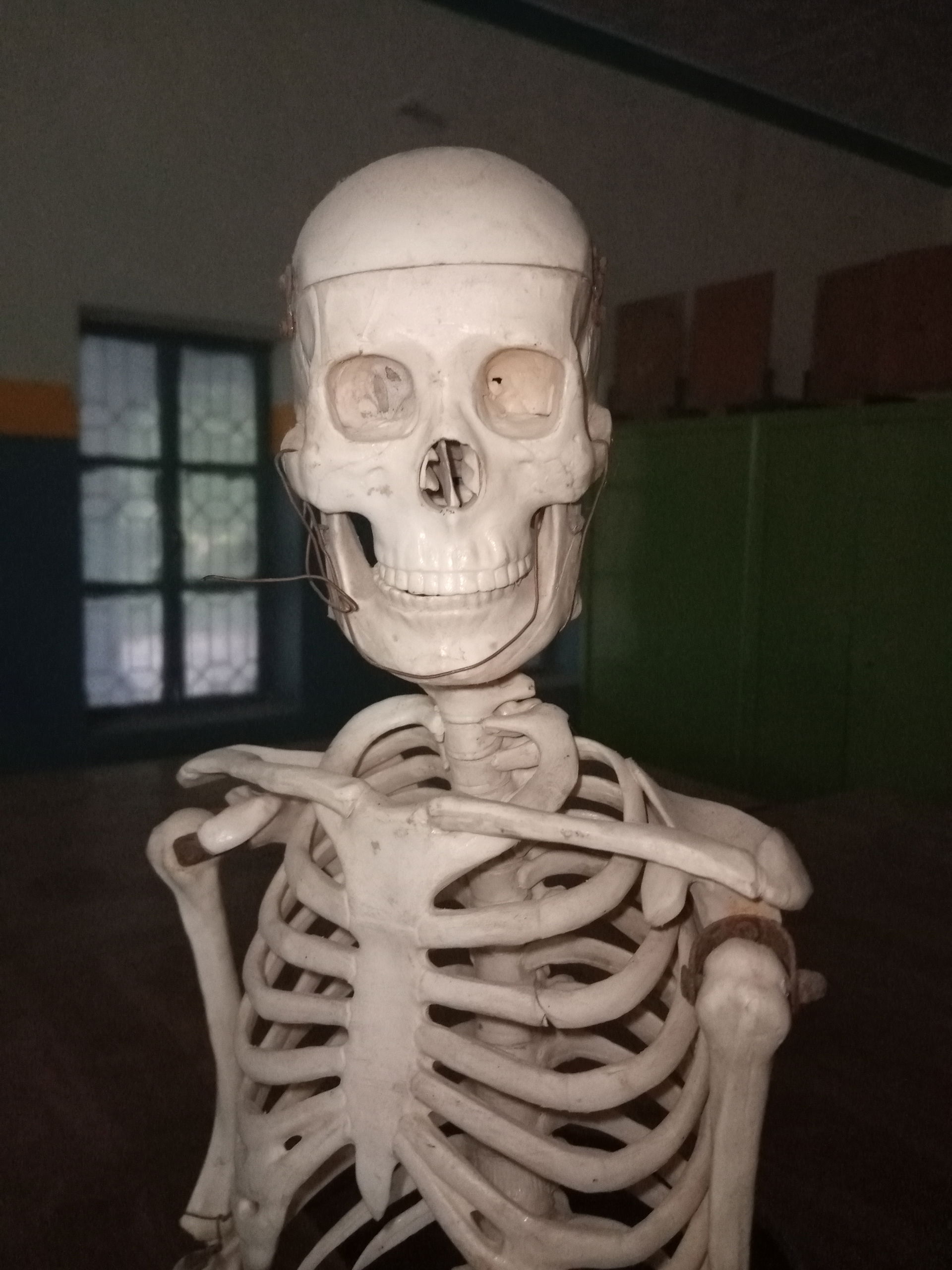 Human skeleton in a High School of Tehsil Mailsi, District Veha…