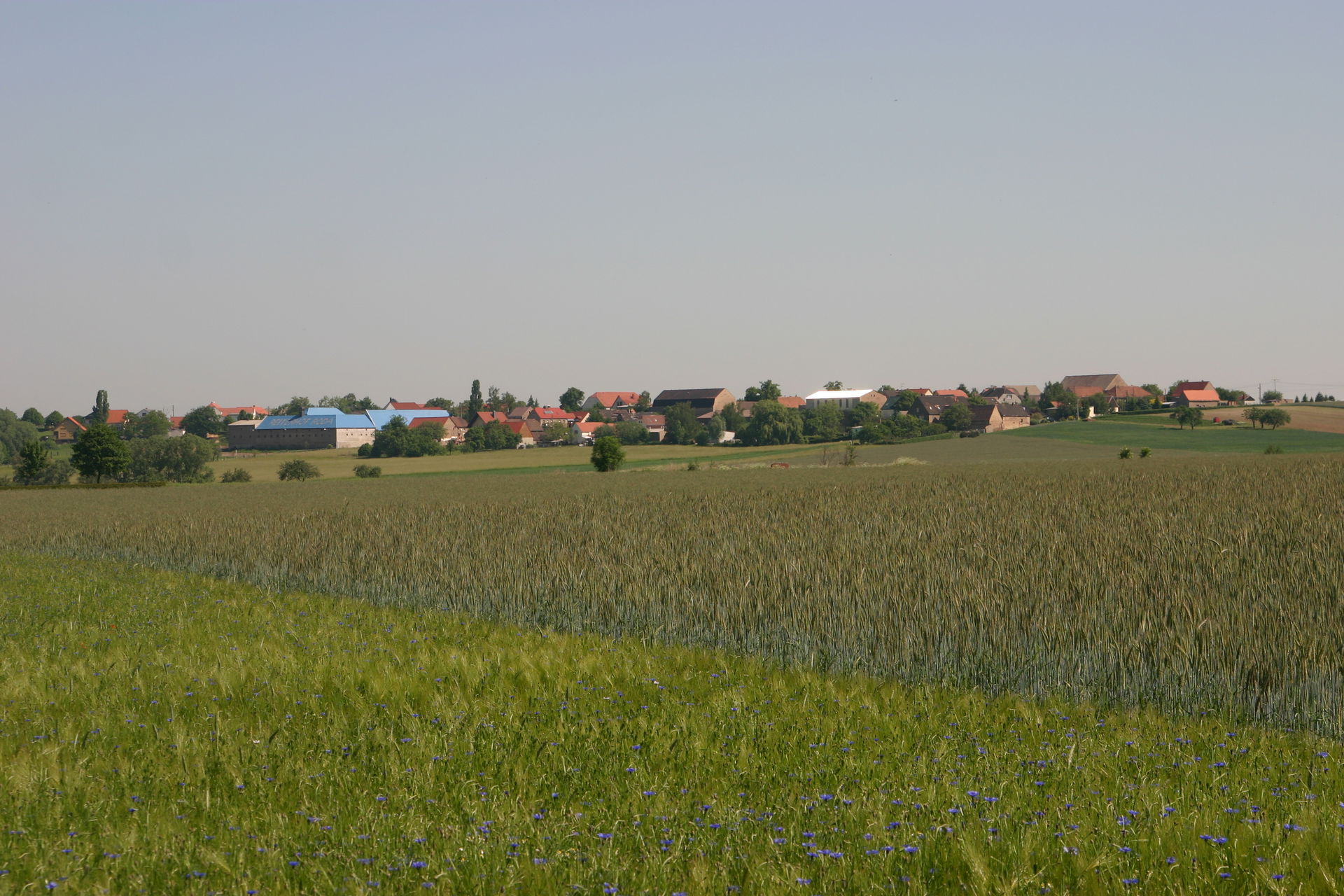 Das Bild zeigt einen Blick auf Roda als Ortsteil von Nünchritz …