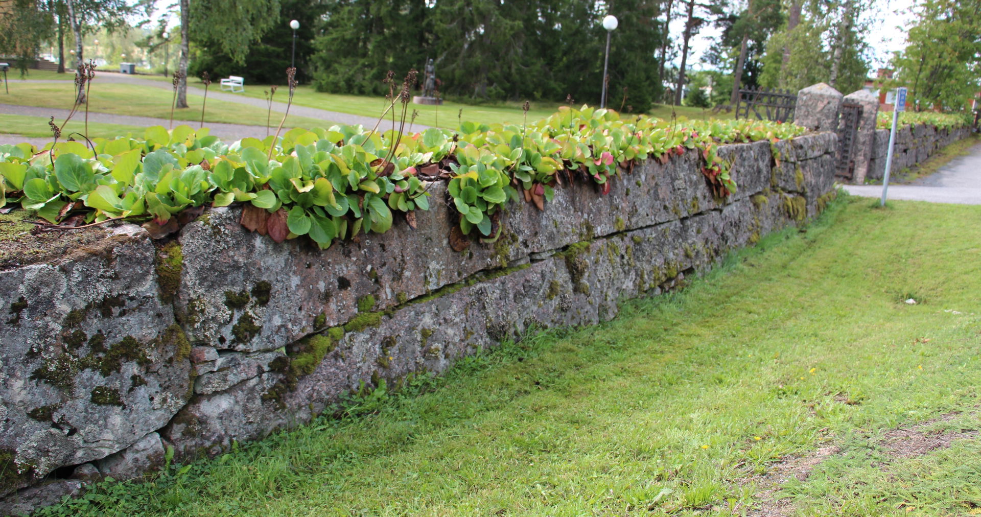 Stone wall was built around Kankaanpää church 1879.