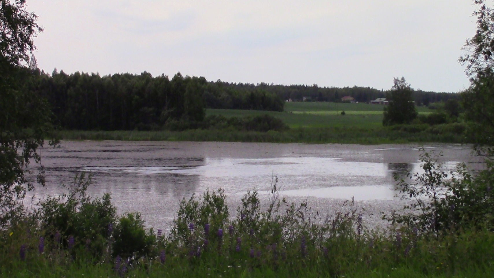 Lake Kankaanjärvi in Kankaanpää, Finland. Picture's taken from …