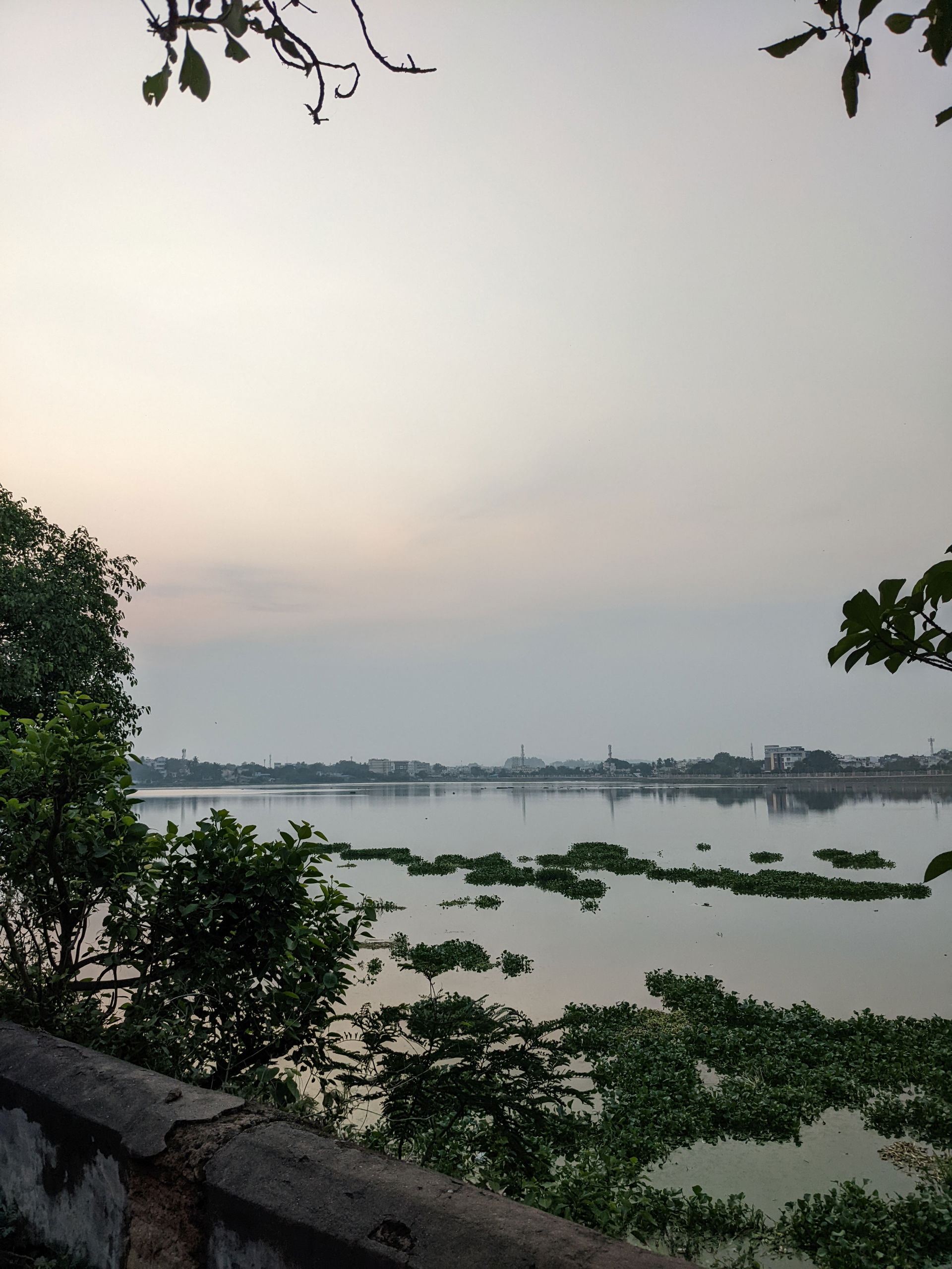 Vizianagaram Pedda Cheruvu evening