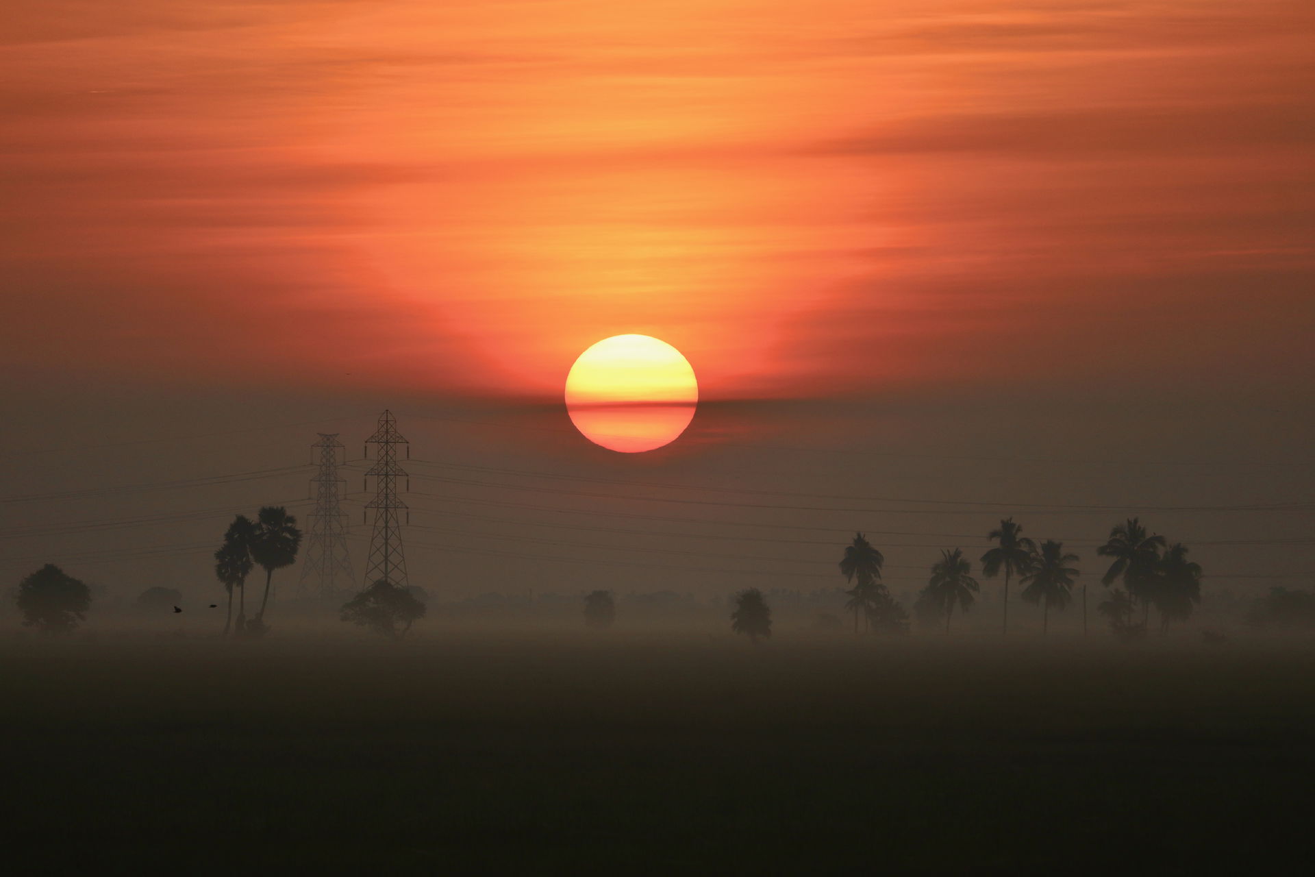 Sunrise on paddy fields near Eluru, Andhra Pradesh. West Godava…