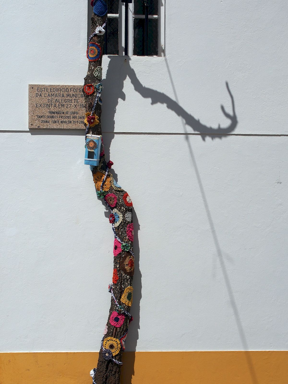 Alegrete tree