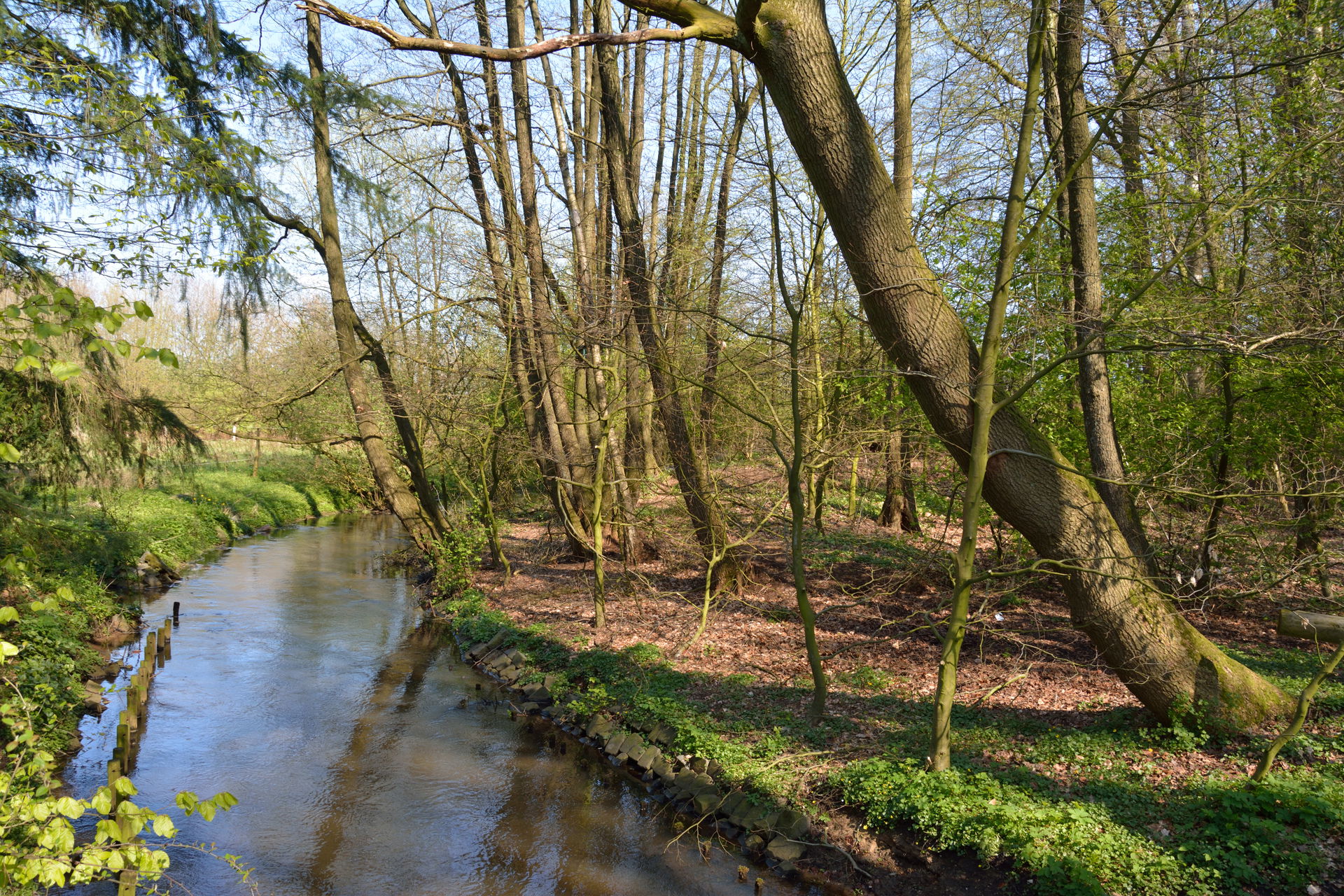 Impressionen aus dem Landschaftsschutzgebiet "Stadtrand Neumüns…