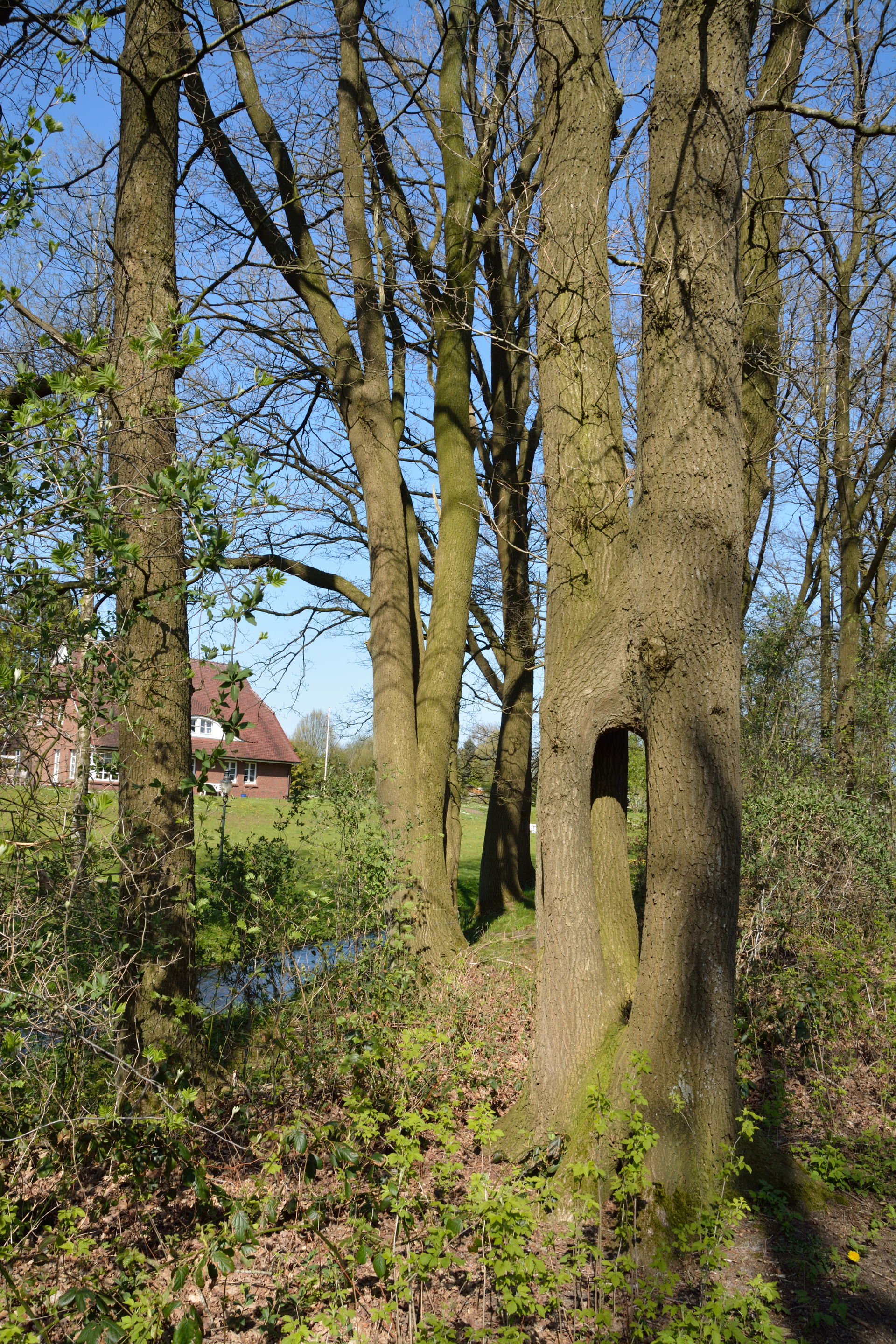 Impressionen aus dem Landschaftsschutzgebiet "Stadtrand Neumüns…