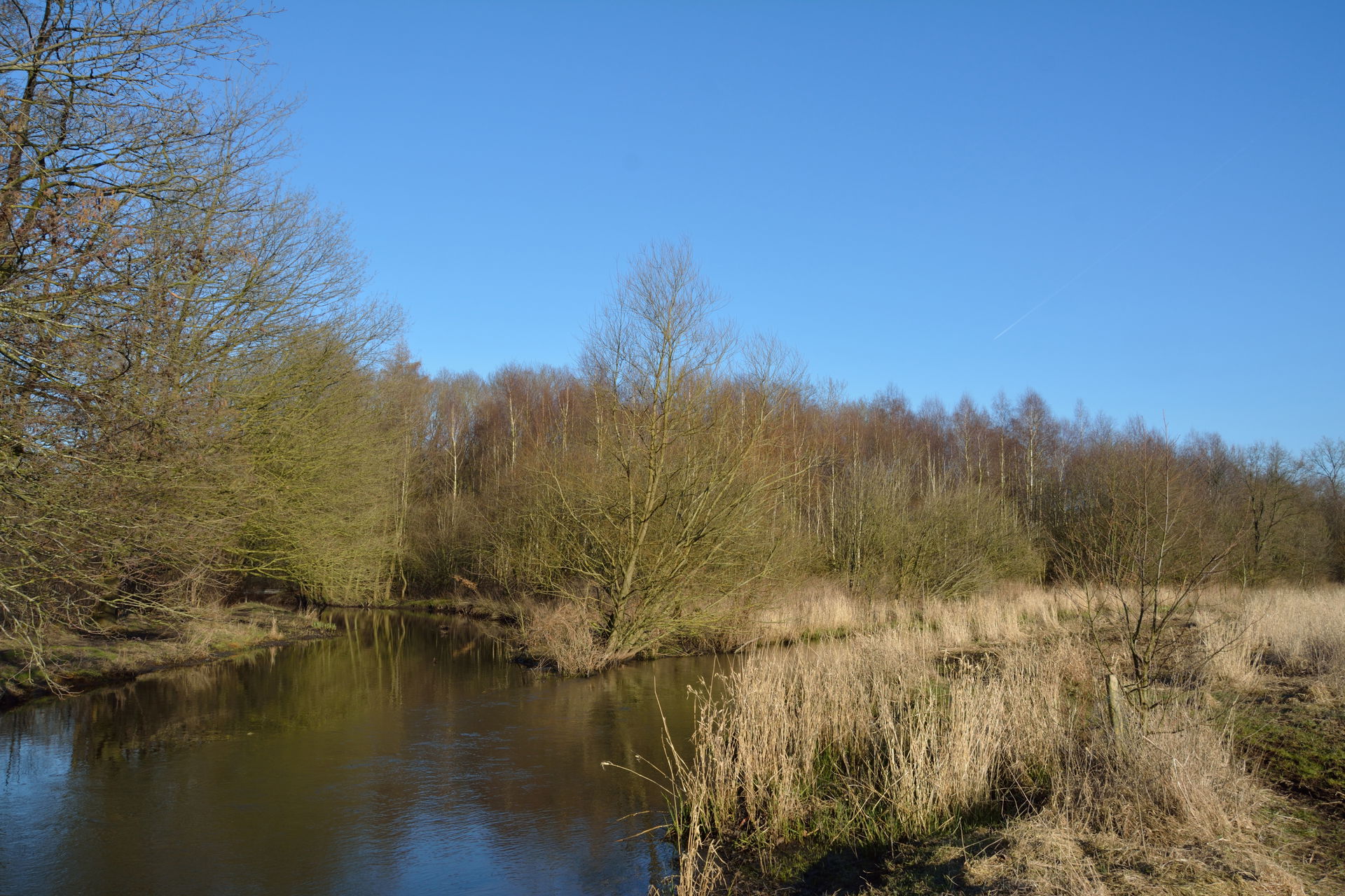 The mouth of the creek "Schwale" in the "Stör"