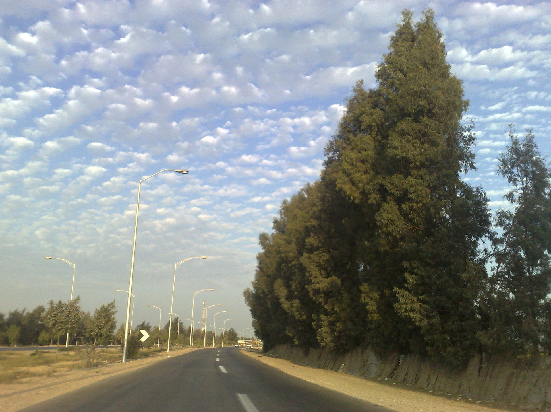 The Regional Road (Sadat City - Nile Delta)