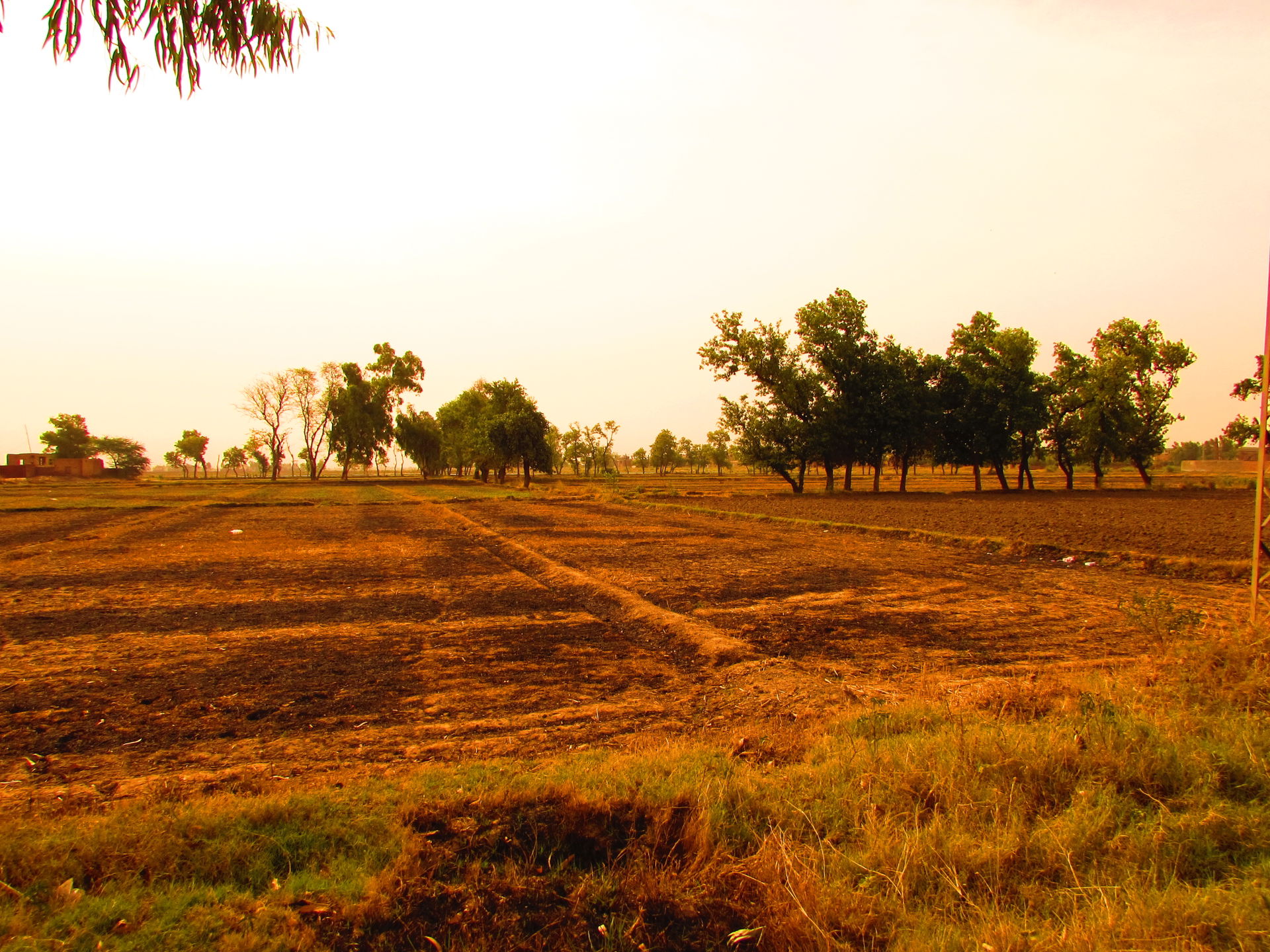 Raiwind, is a town in the Punjab province of Pakistan. It is pa…