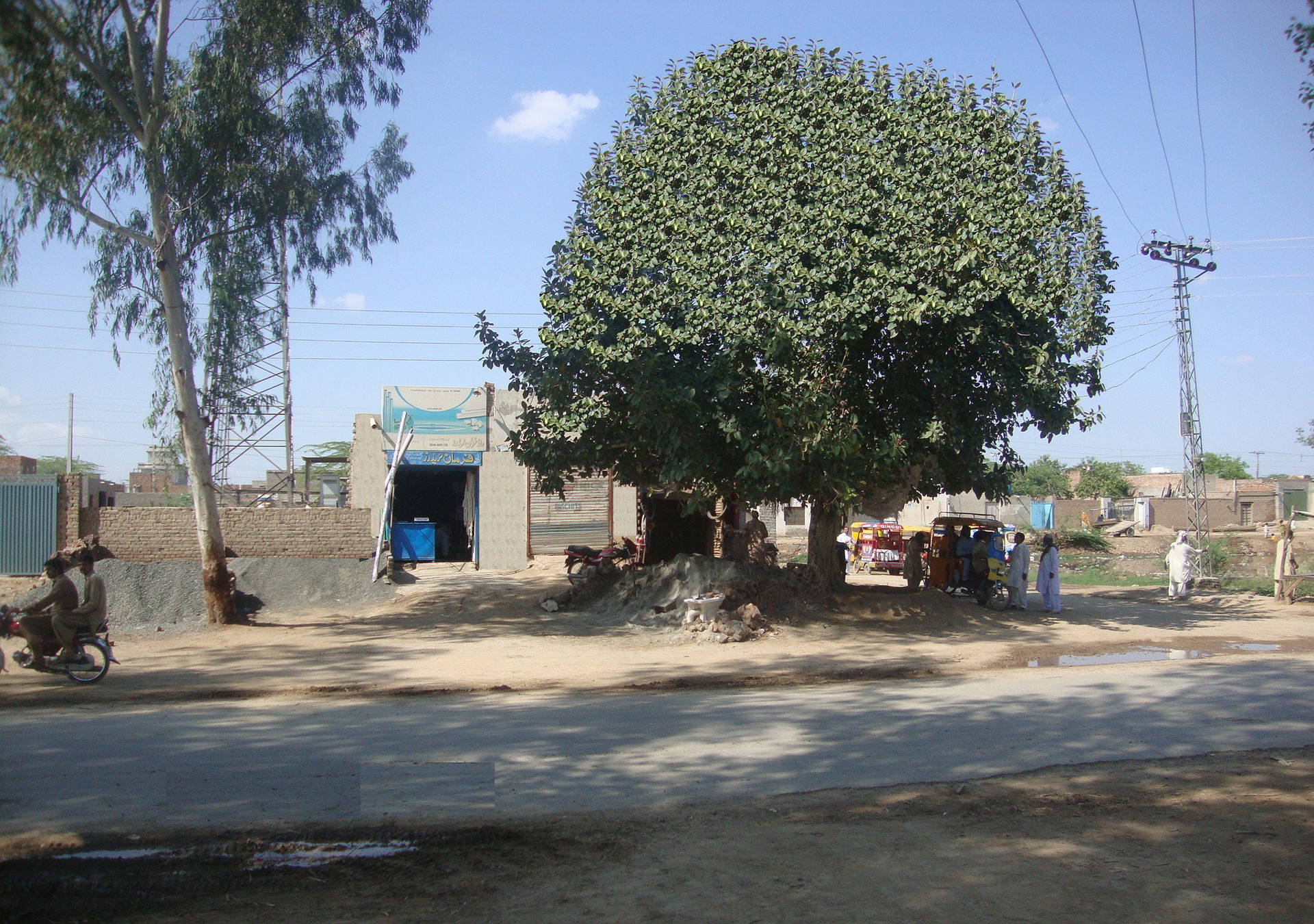 Main Chowk Chack 2-1-L Shair gadh road