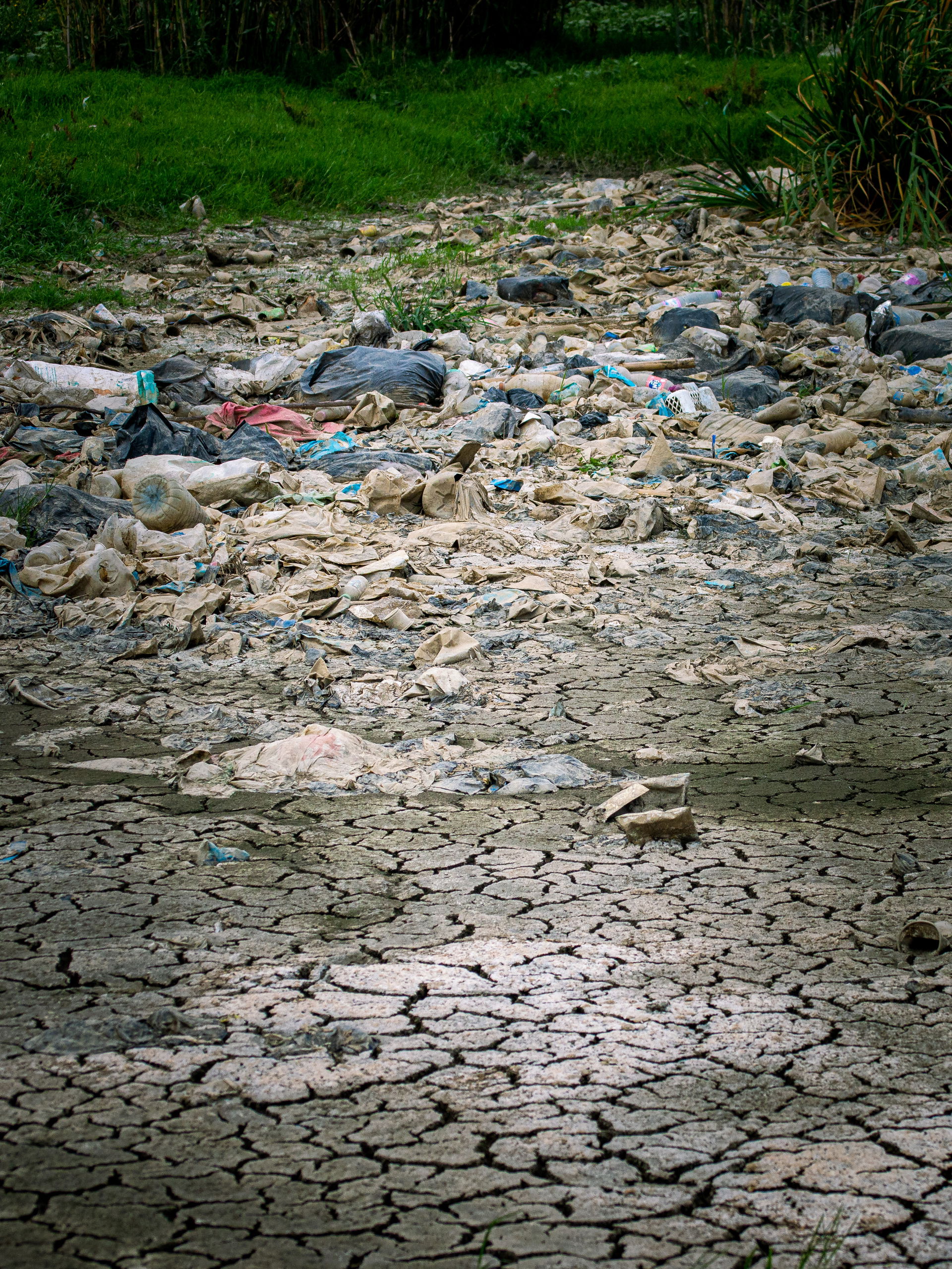 Climate change and human caused pollution, can be found and obs…