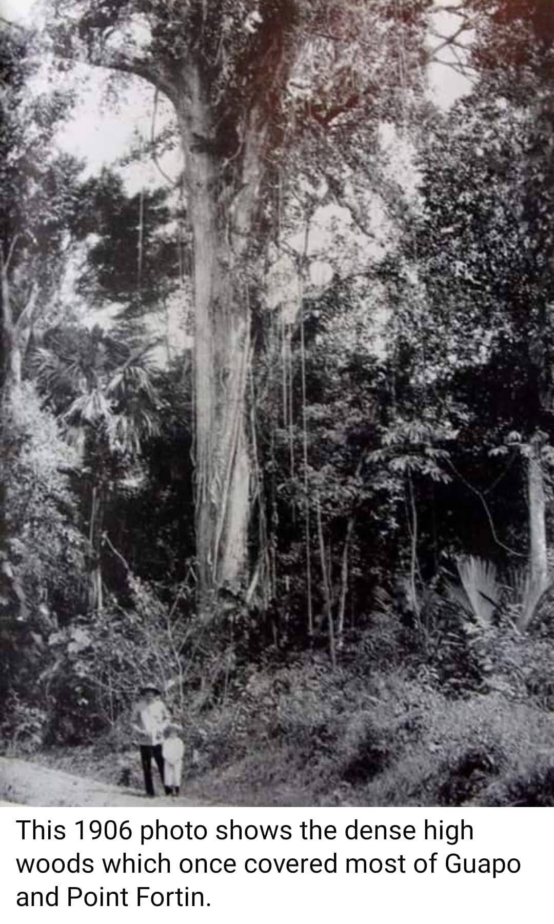Trinidad 1906 Guapo Point Fortin