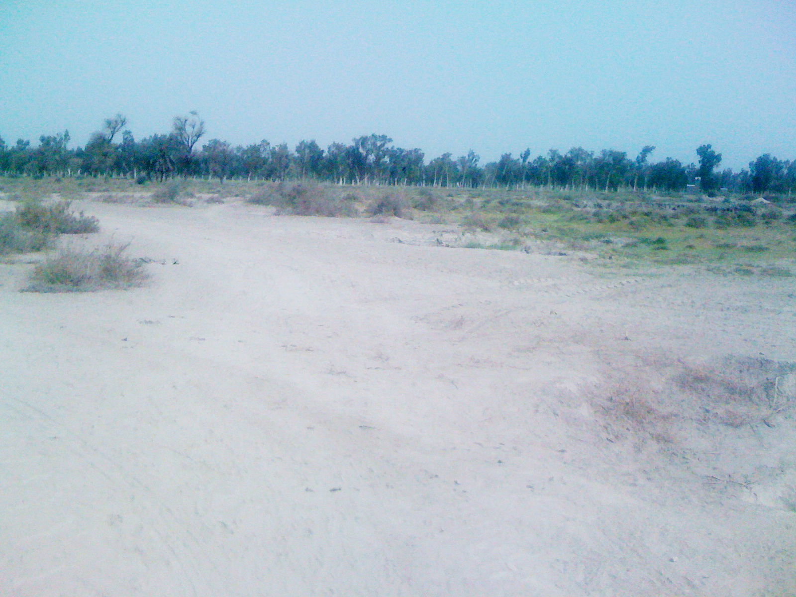 Pano Aqil Tehsil, Pakistan