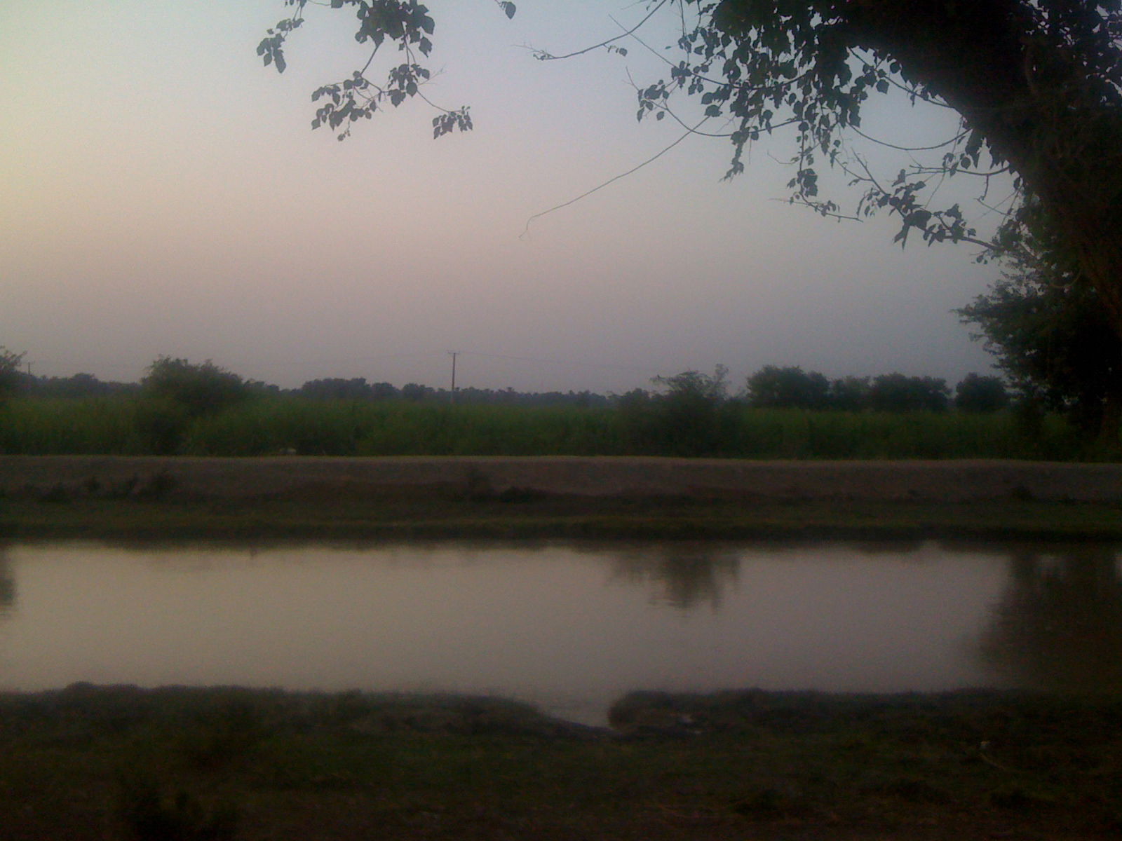 Pano Aqil Tehsil in Sindh