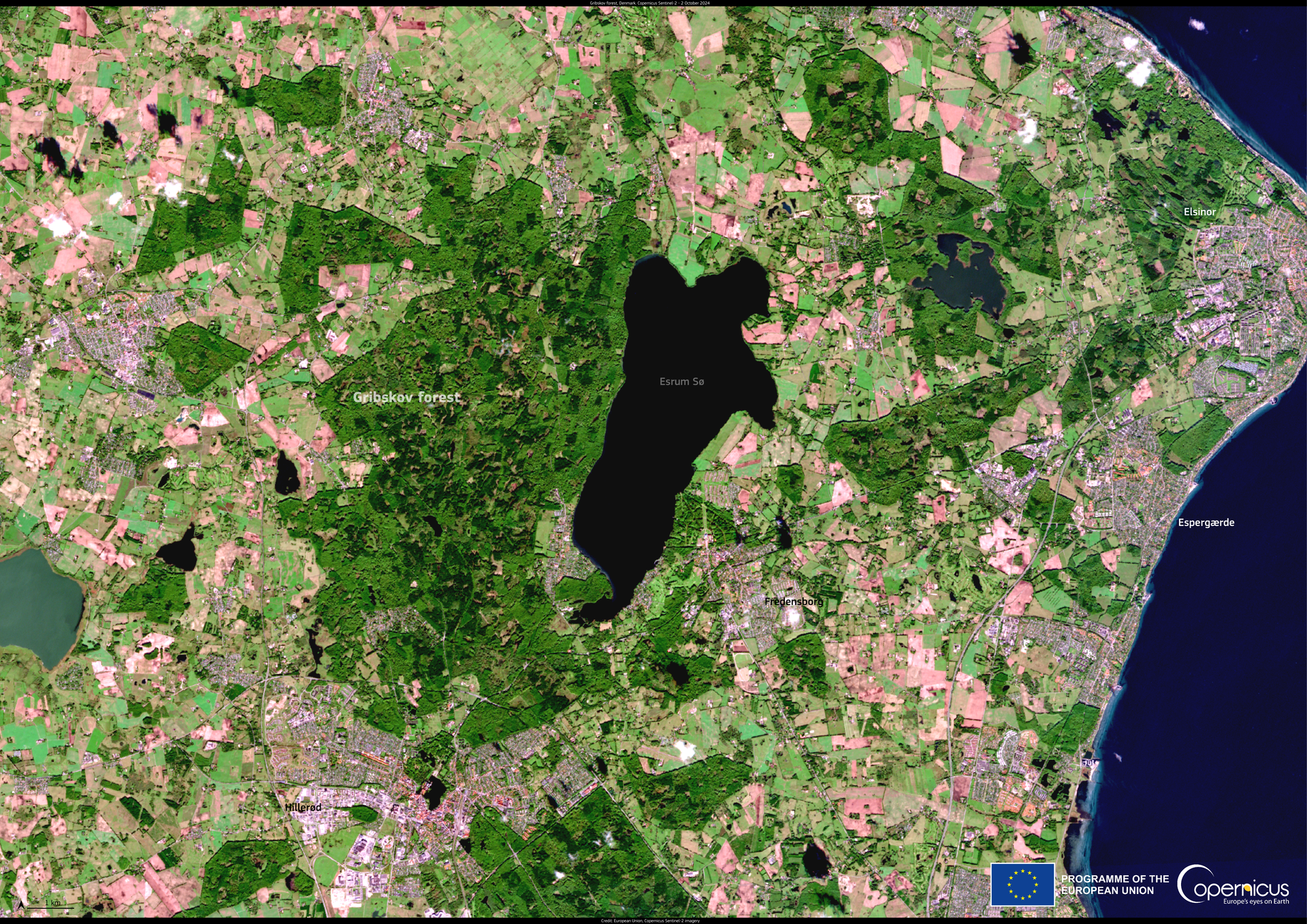 Gribskov, or ‘Grib Forest’, is the fourth-largest forest in Den…